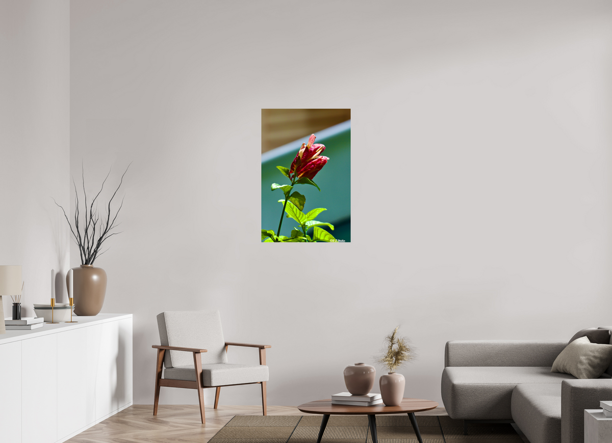 24 x 36″, Glossy Print without border Lilly of the Incas