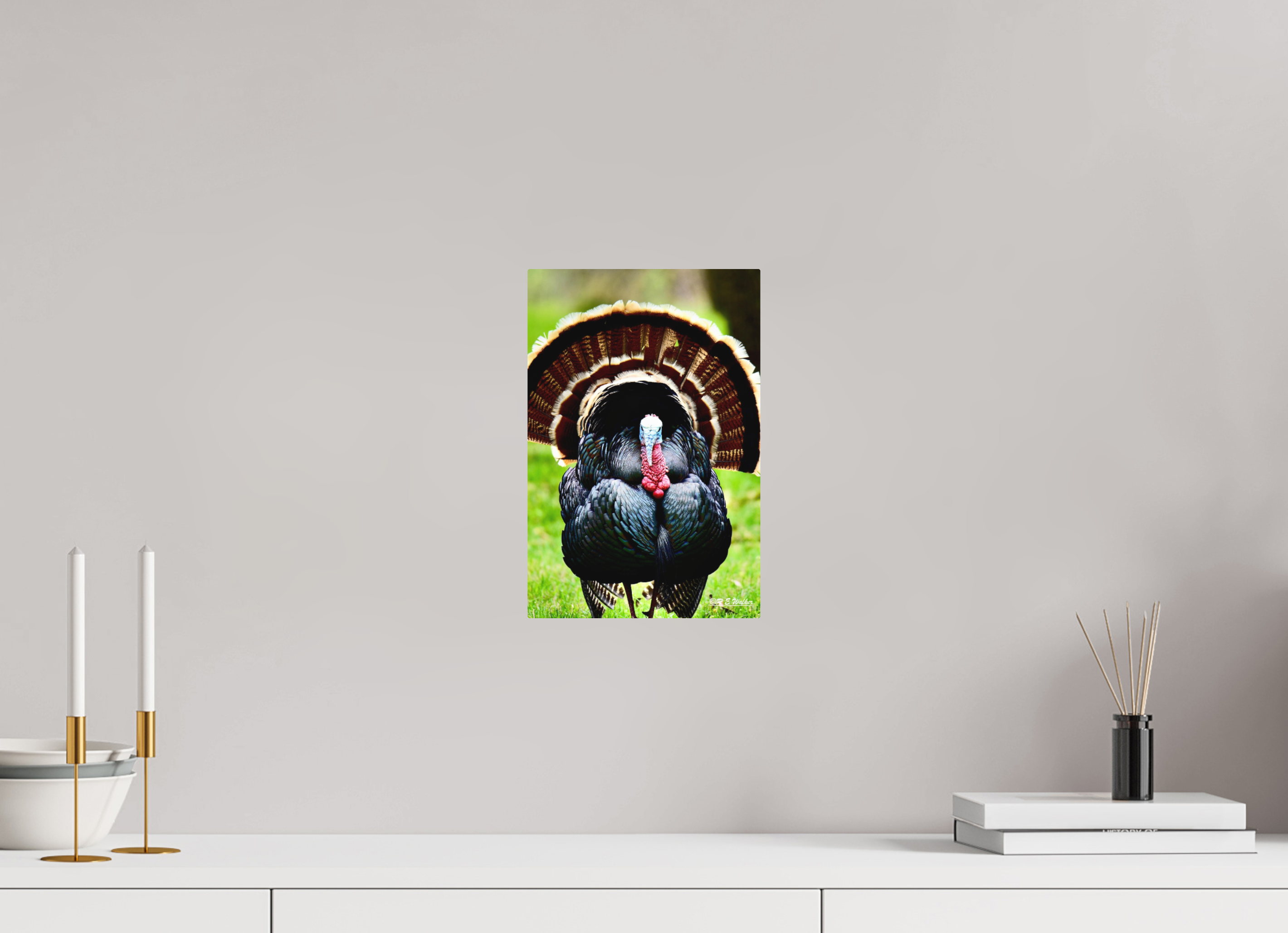 8 x 12″, Aluminum Turkey Headon