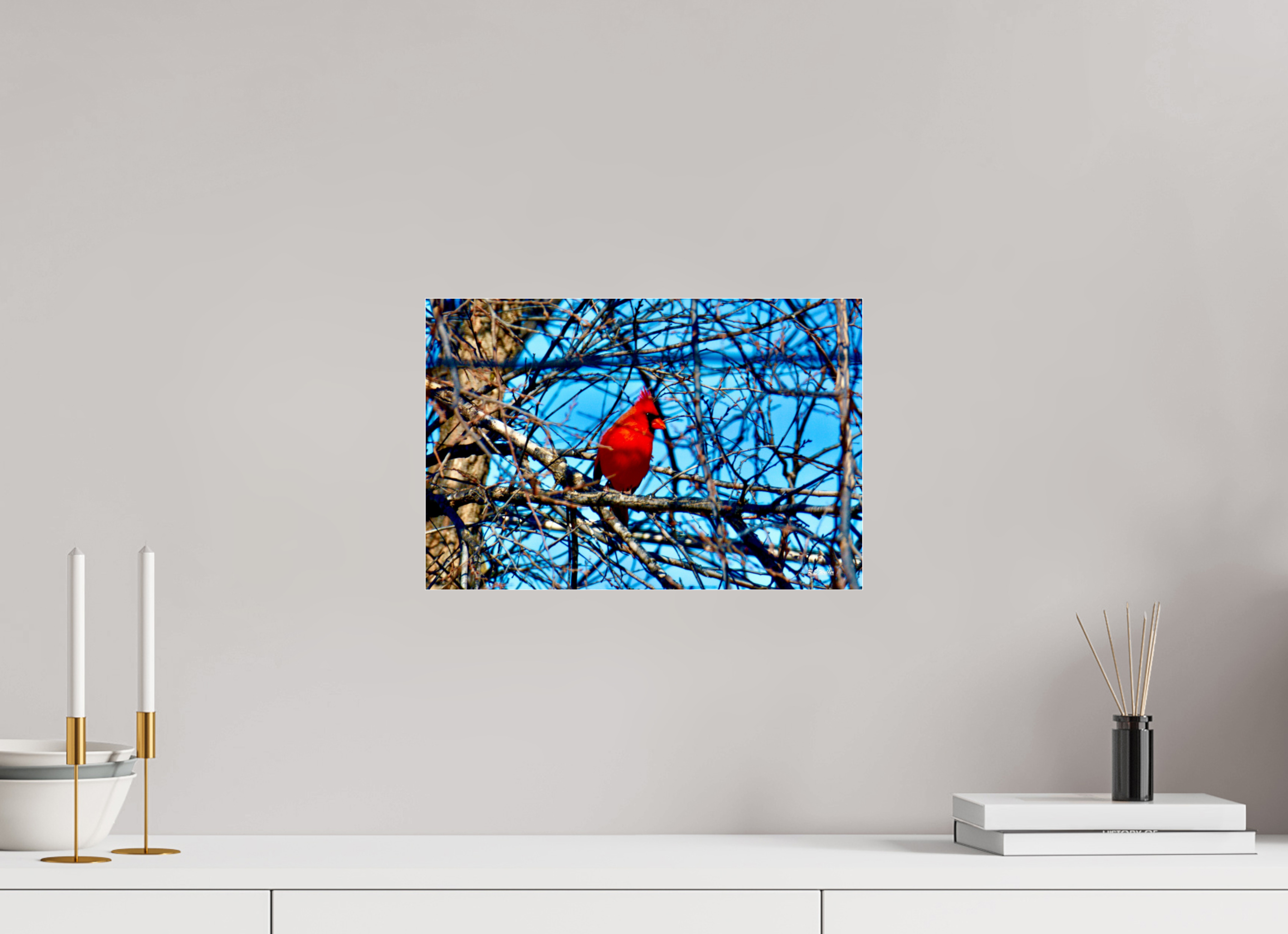 15 x 10″, acrylic-noframe-glossy Red Cardinal
