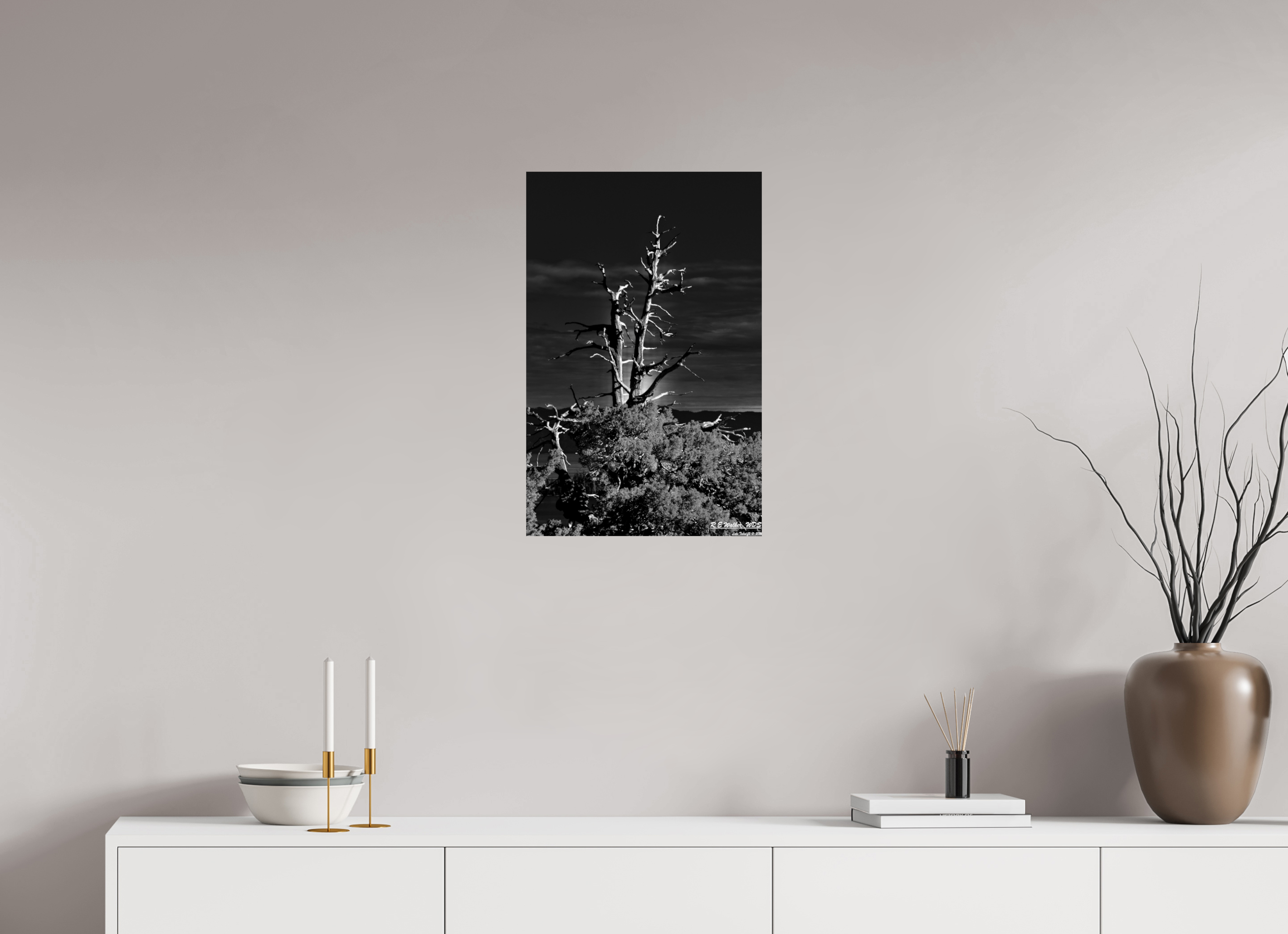 16 x 24.7″, Glossy Print without border Tahoe tree silhouette
