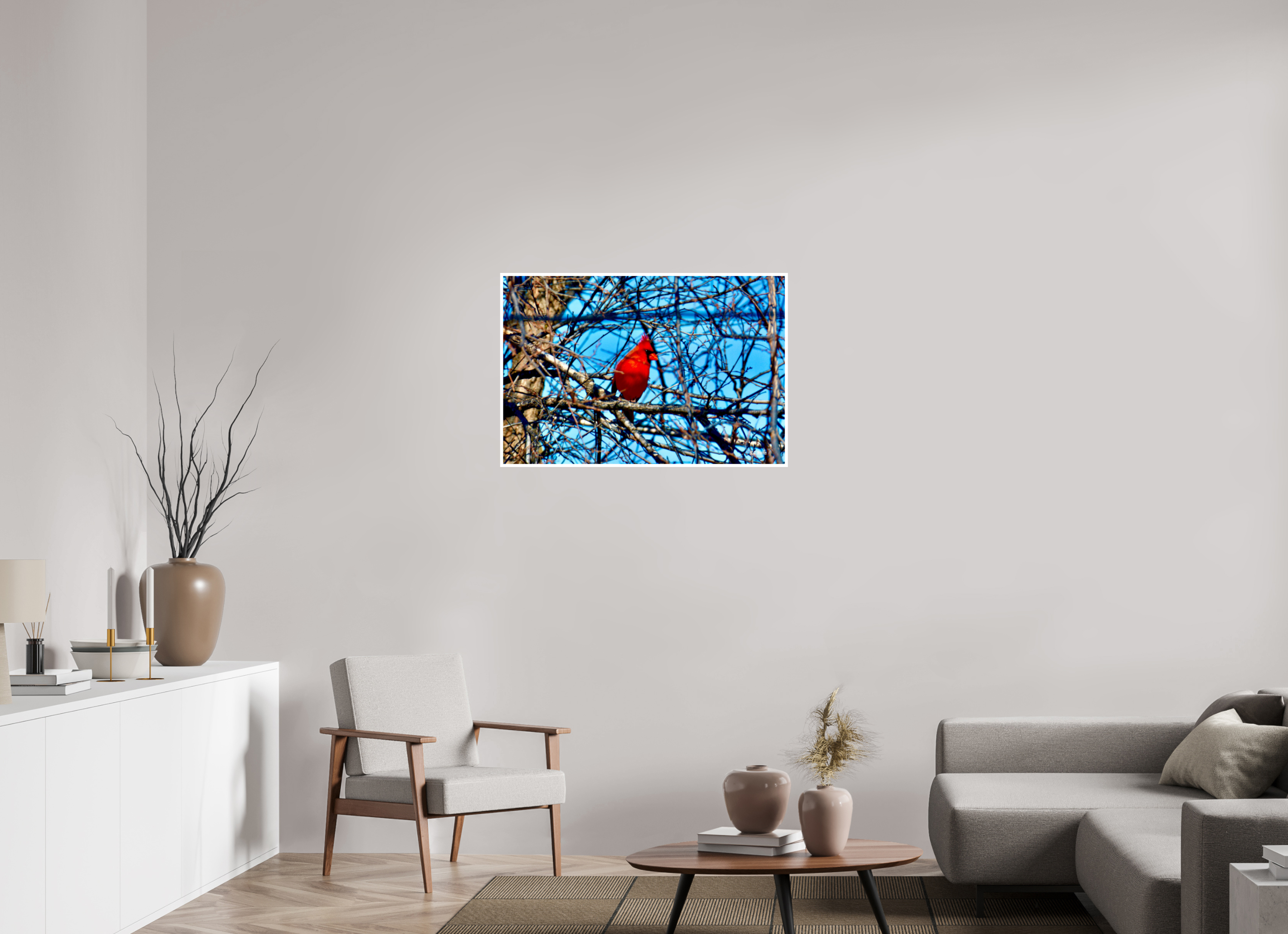 36 x 24″, Print with 0.4in white border Red Cardinal