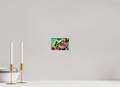 6 x 4″, Glossy Print without border Prickly Pear Texas