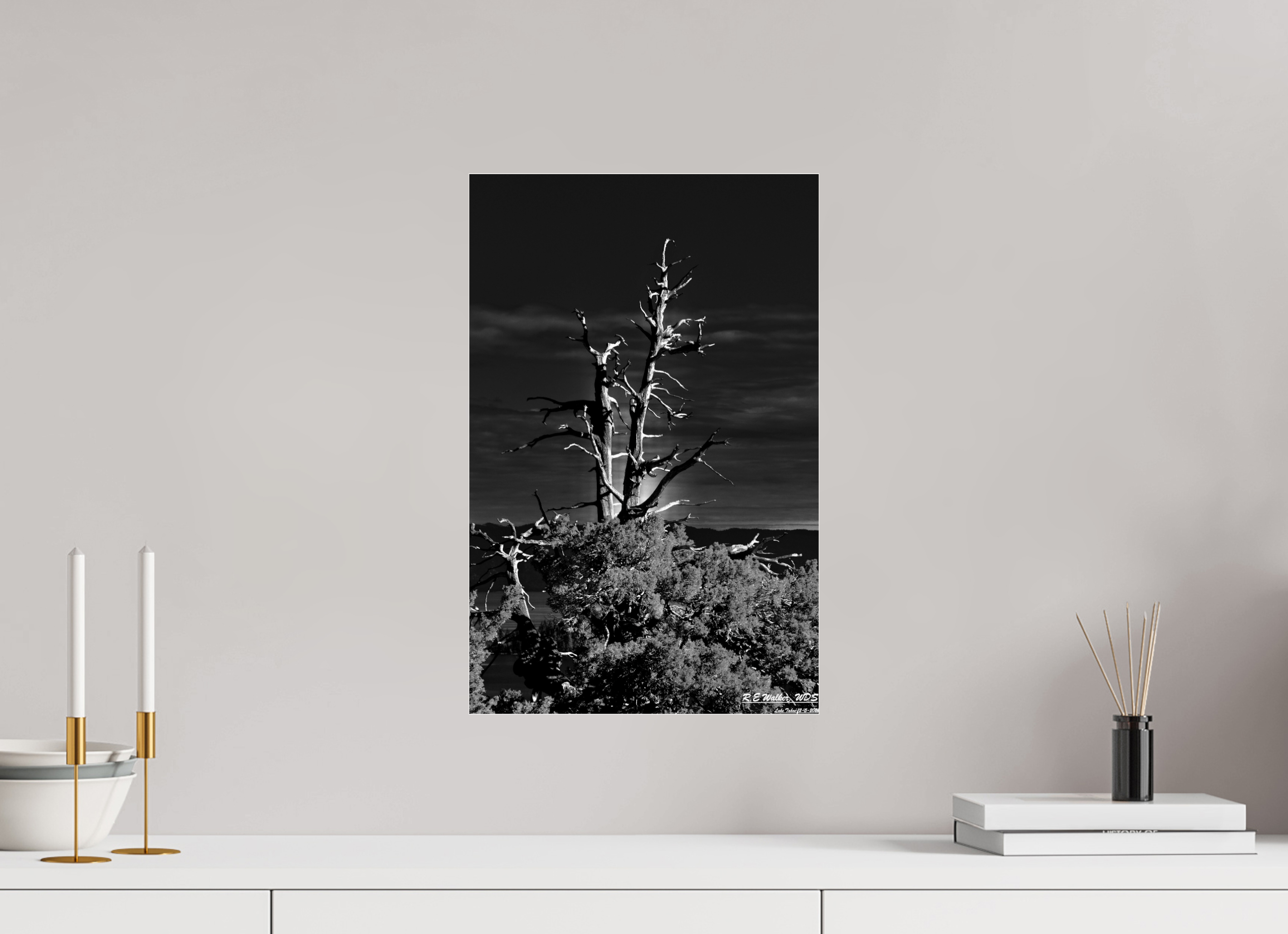 12 x 18.5″, acrylic-noframe-glossy Tahoe tree silhouette