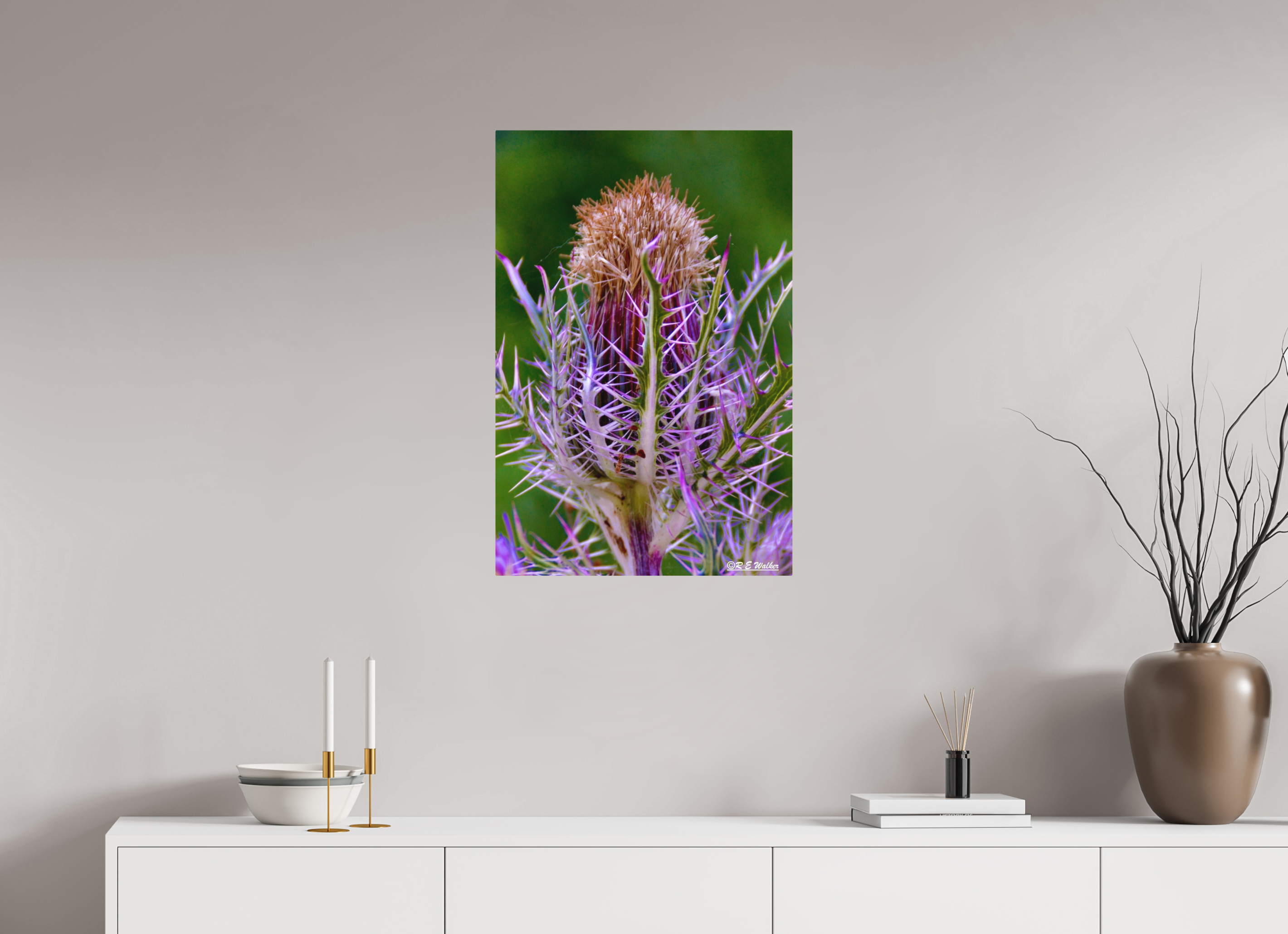 20 x 30″, Aluminum Close-up Thistle Flowerhead