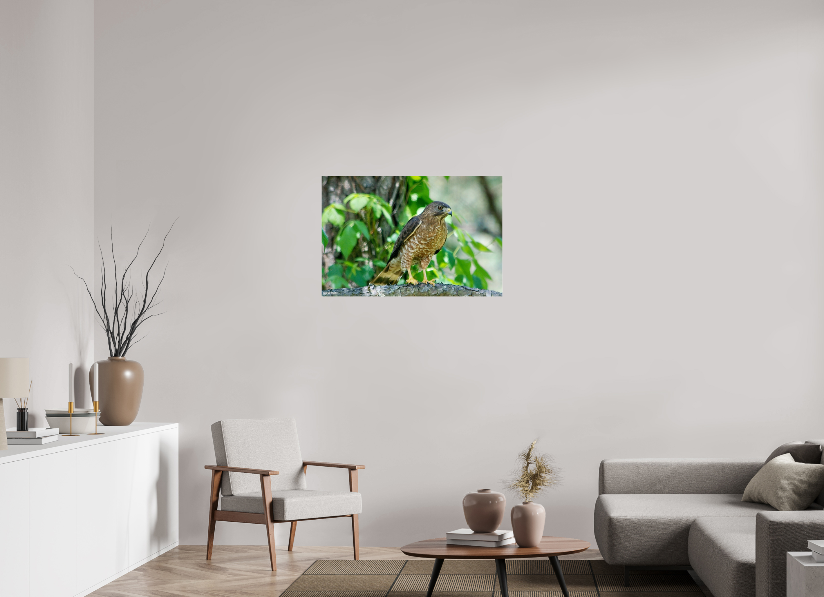 36 x 24″, acrylic-noframe-glossy Broadwing Hawk