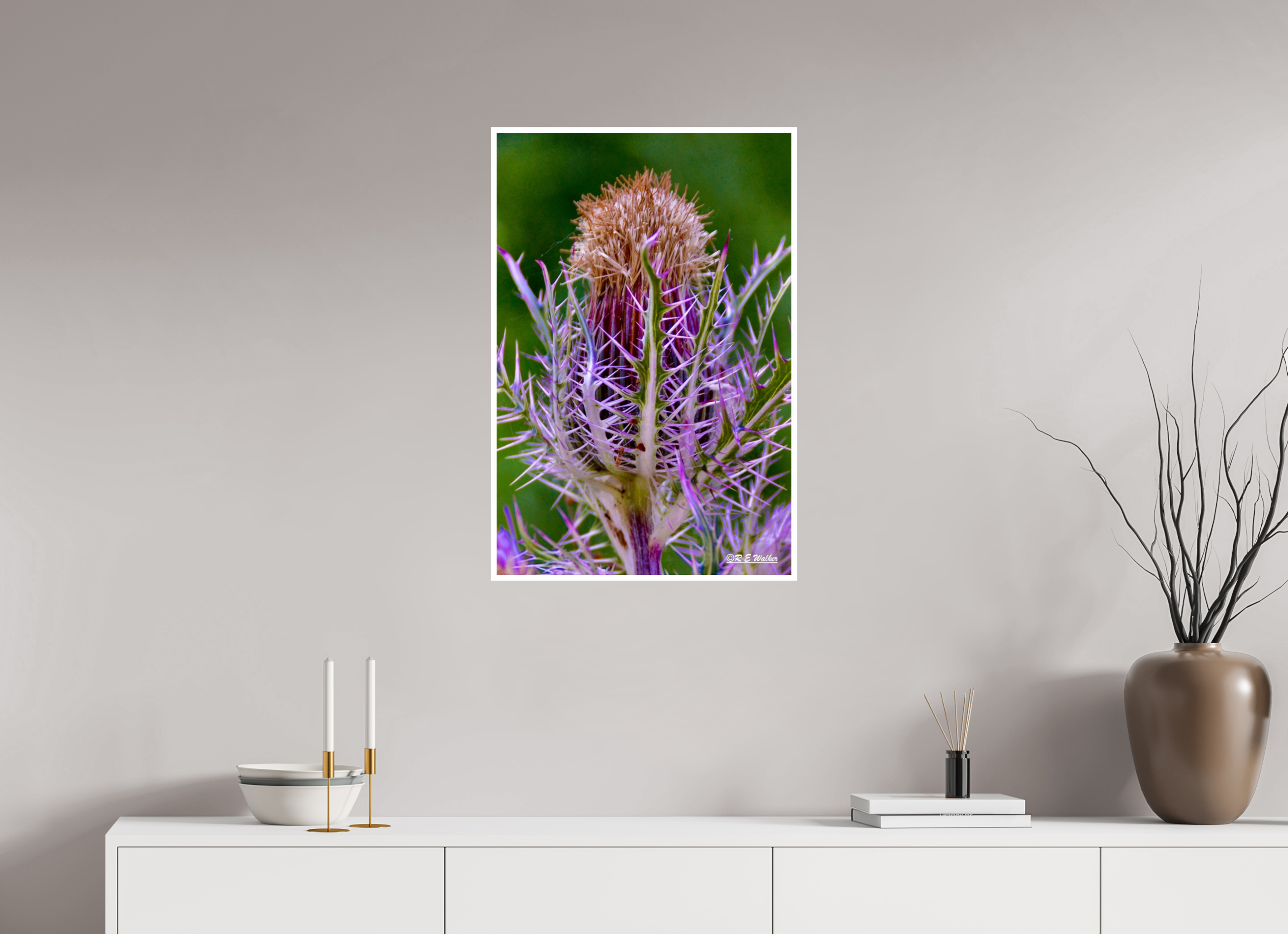 20 x 30″, Print with 0.4in white border Close-up Thistle Flowerhead