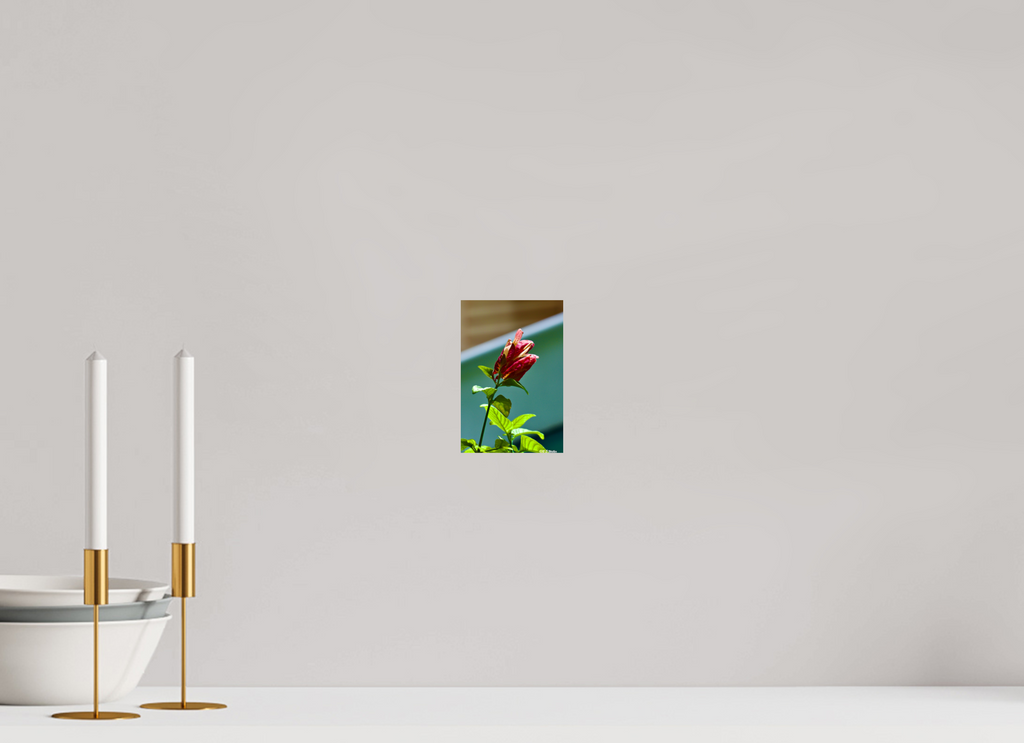 4 x 6″, Glossy Print without border Lilly of the Incas