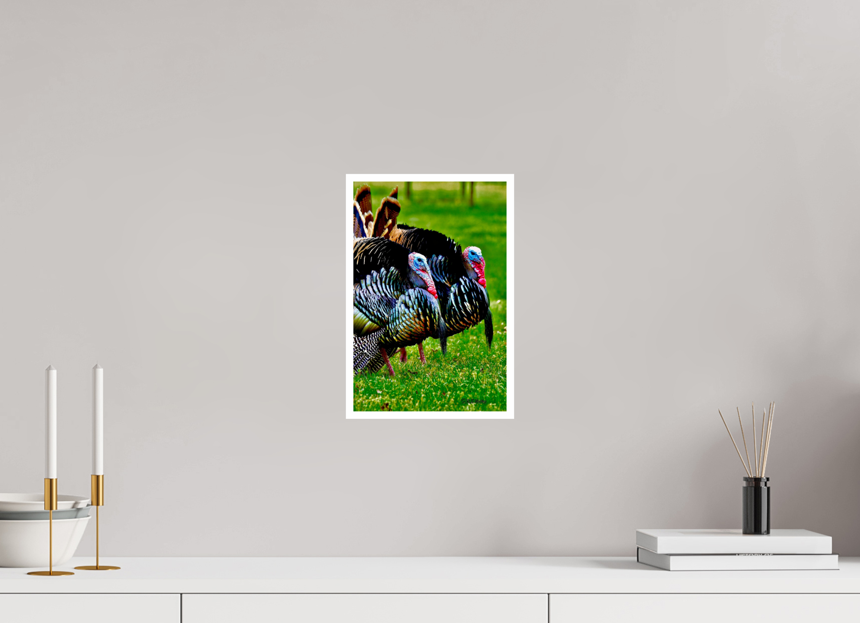 8 x 12″, Print with 0.4in white border Turkeys