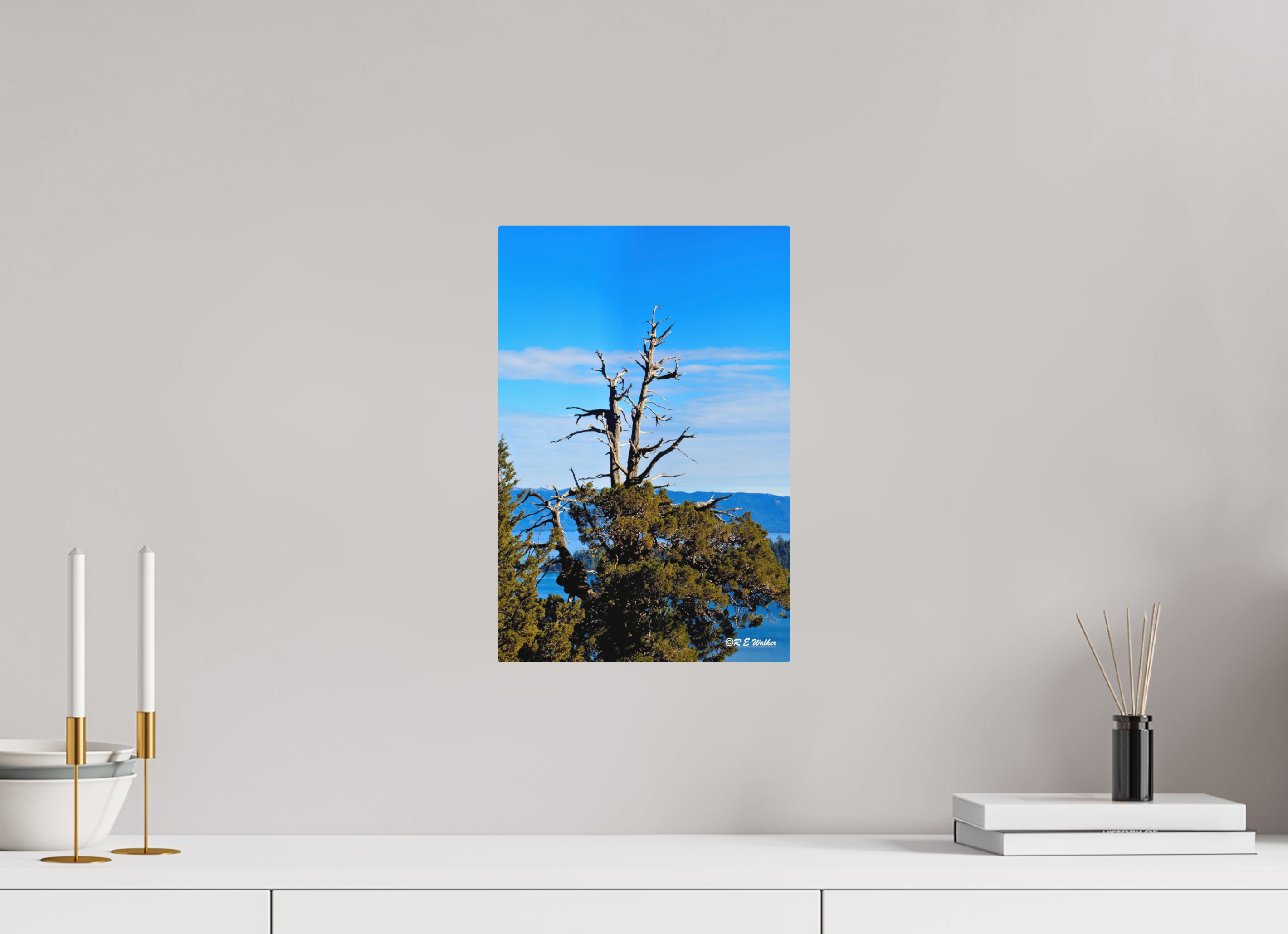 10 x 15″, Aluminum Tree at Lake Tahoe