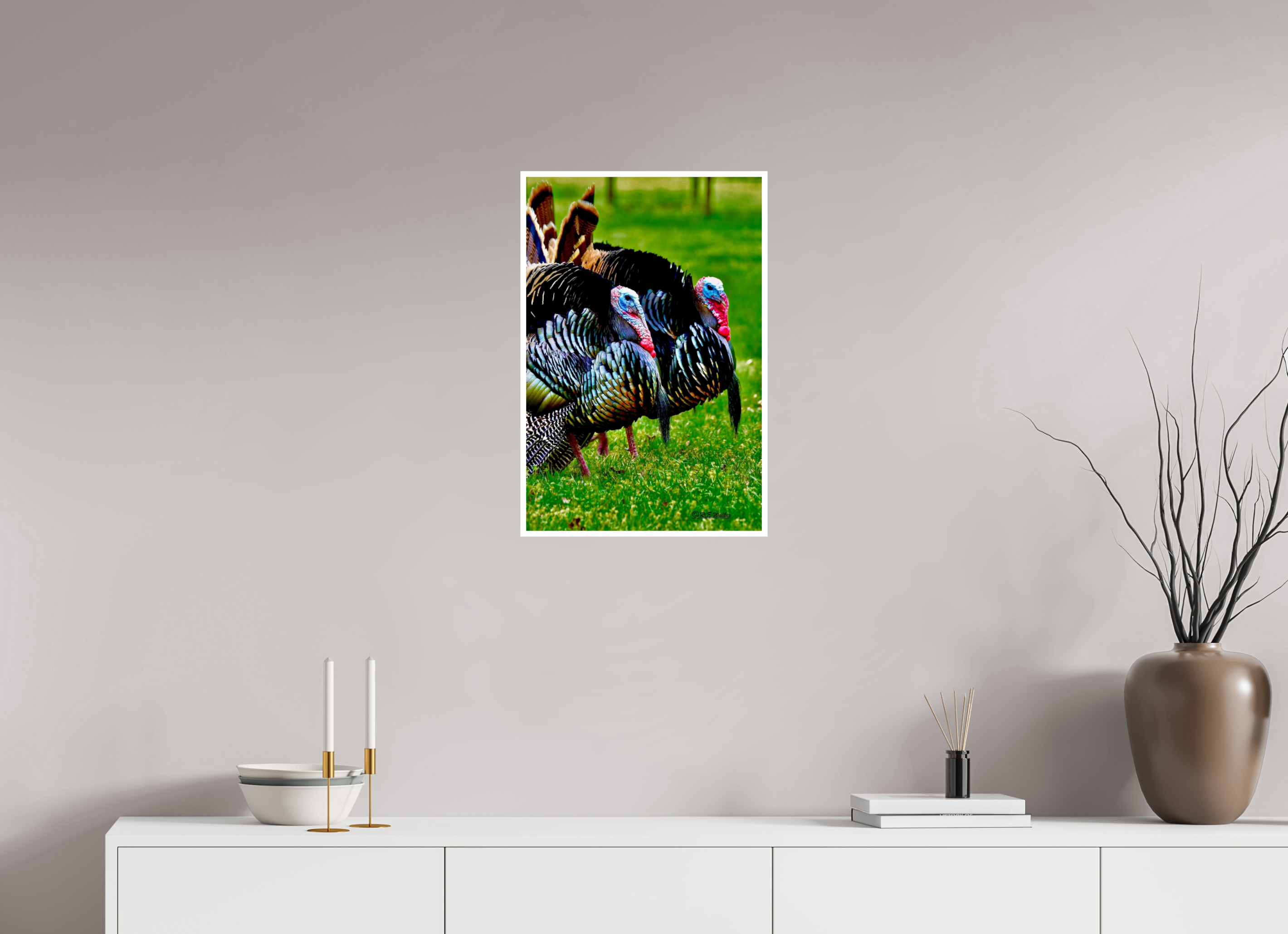 16 x 24″, Print with 0.4in white border Turkeys