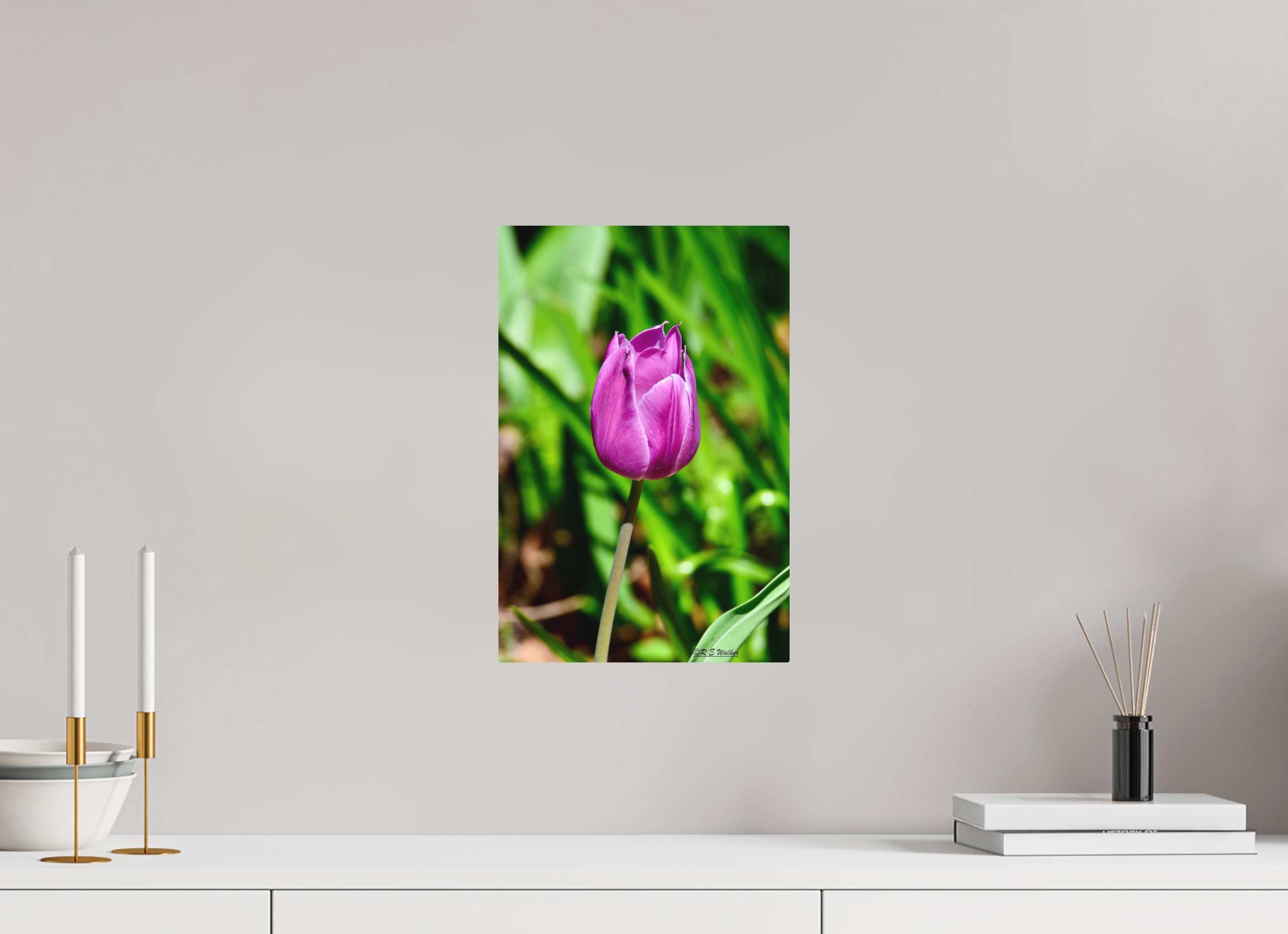10 x 15″, Aluminum Tulip in Weatherford, Tx