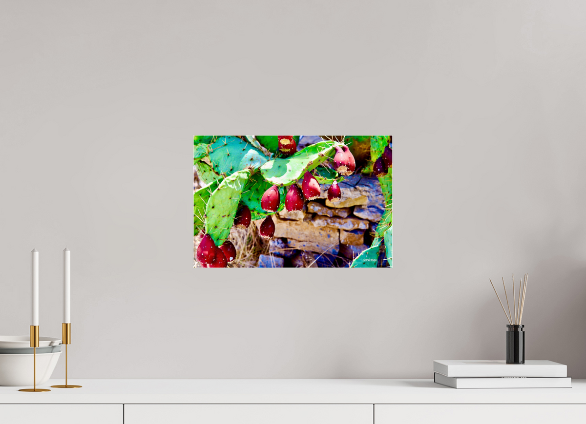 15 x 10″, Photo Print Under Acrylic Glass Prickly Pear Texas