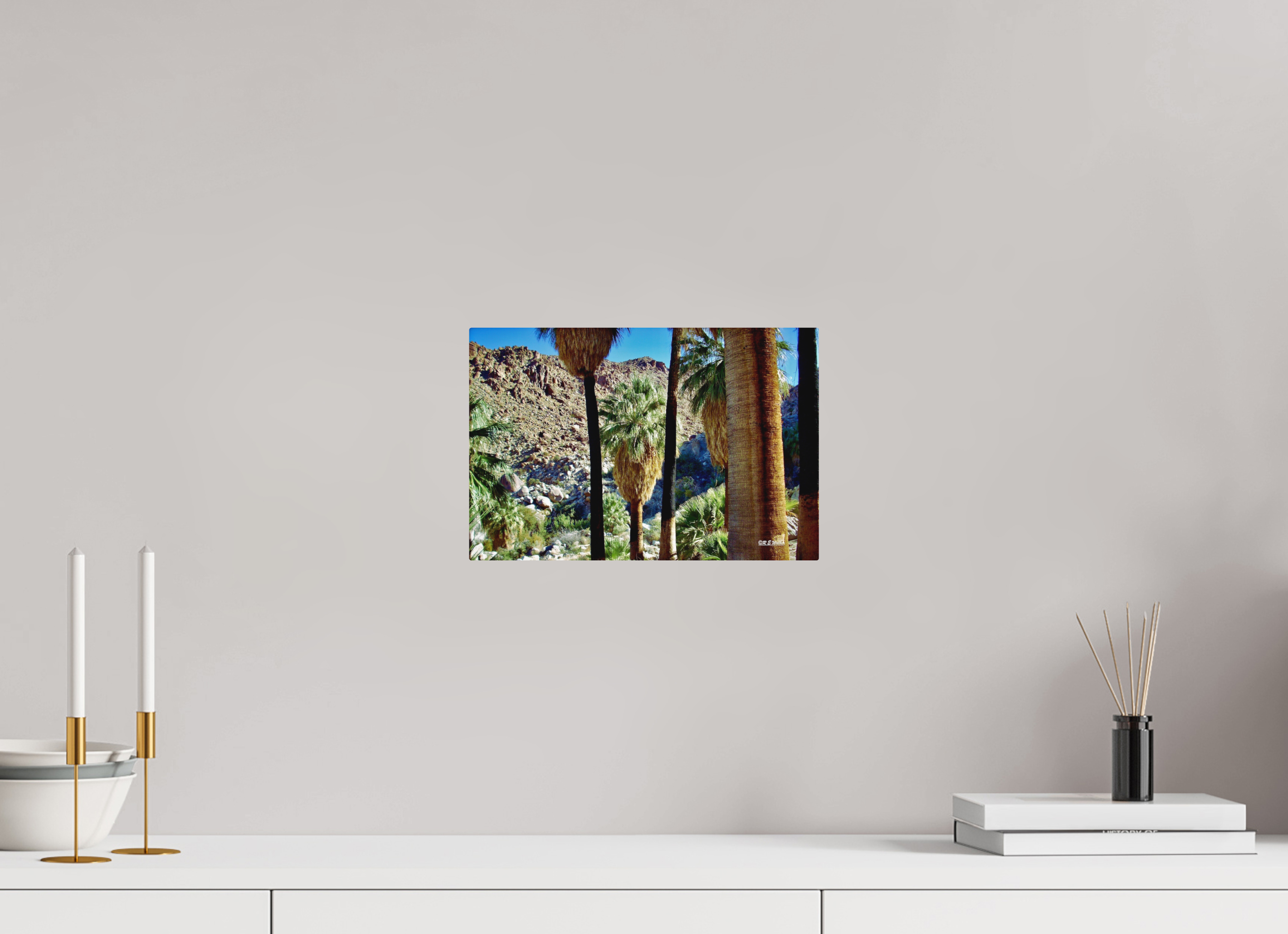 12 x 8″, Aluminum Oasis in Joshua Tree National Park