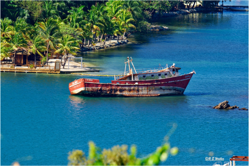 Main image Wreckage in Roatan Honduras