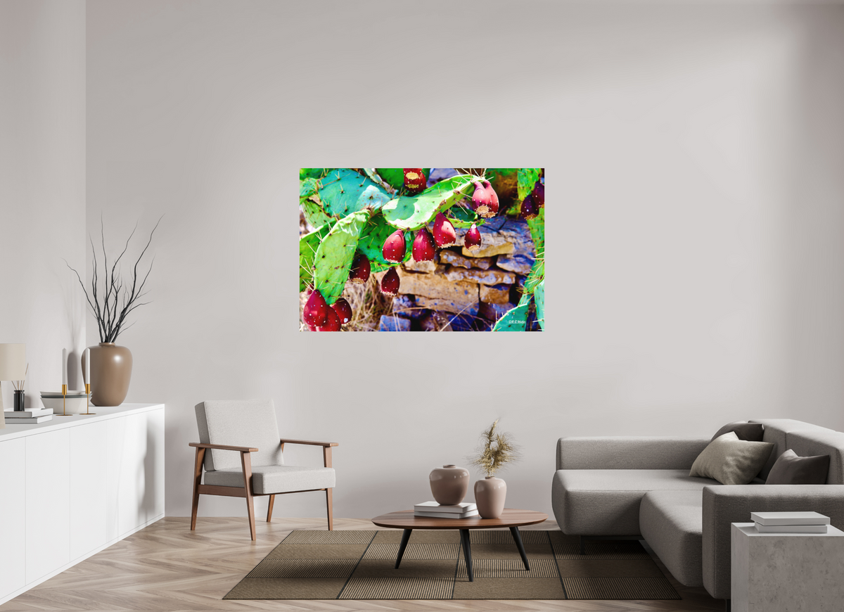 60 x 40″, Aluminum Prickly Pear Texas