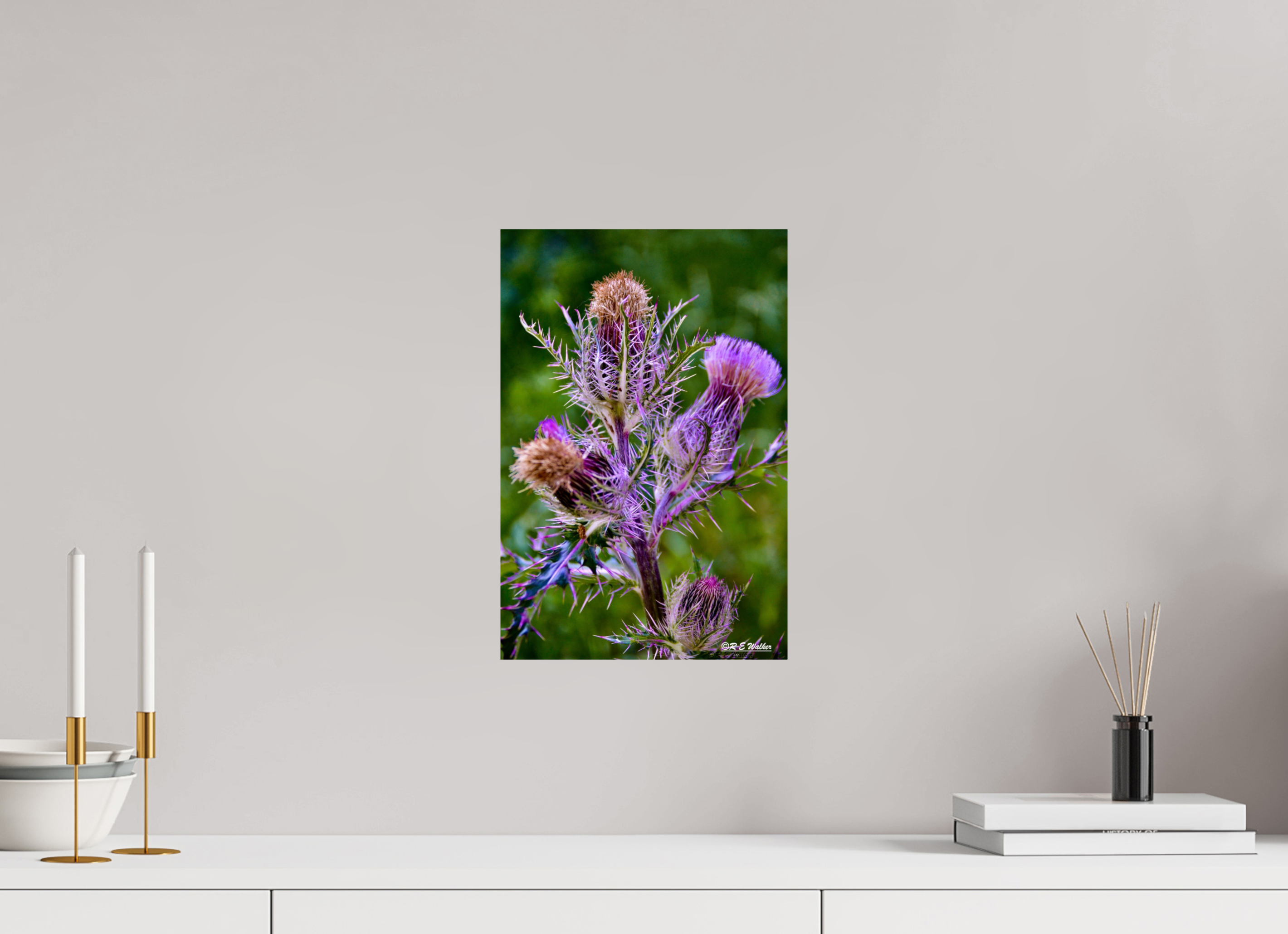 10 x 15″, Glossy Print without border Thistle