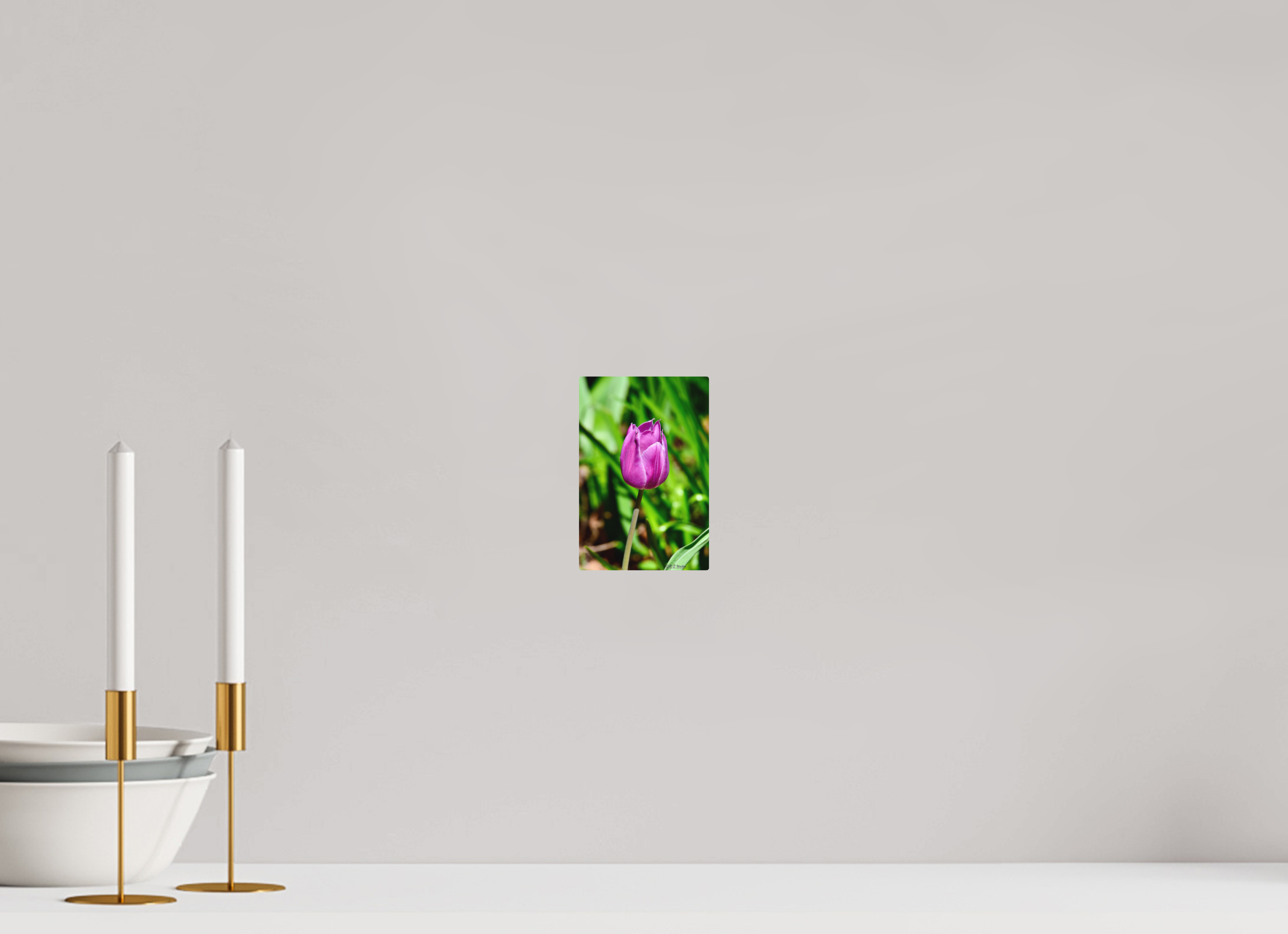 4 x 6″, Aluminum Tulip in Weatherford, Tx