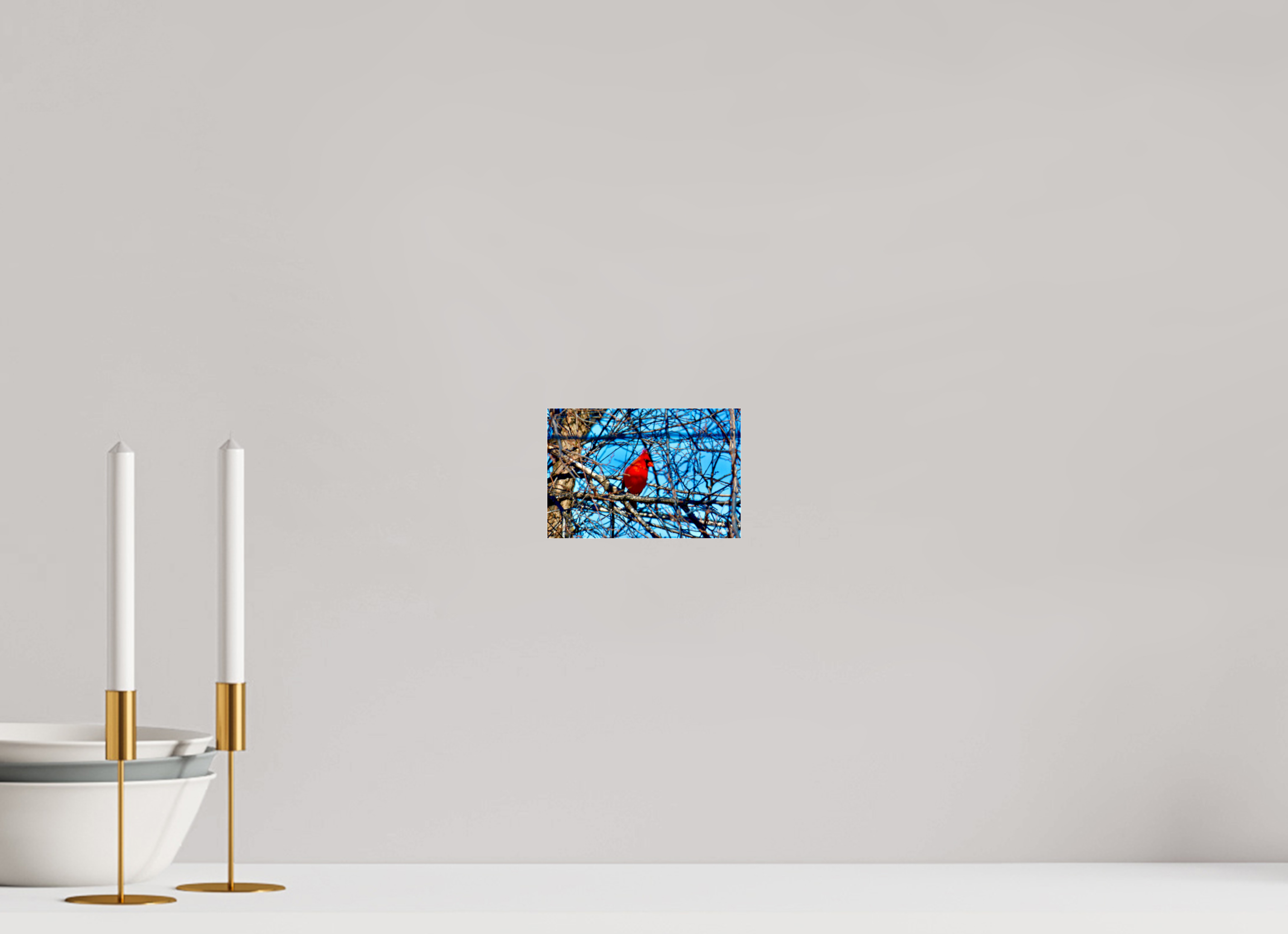 6 x 4″, acrylic-noframe-glossy Red Cardinal