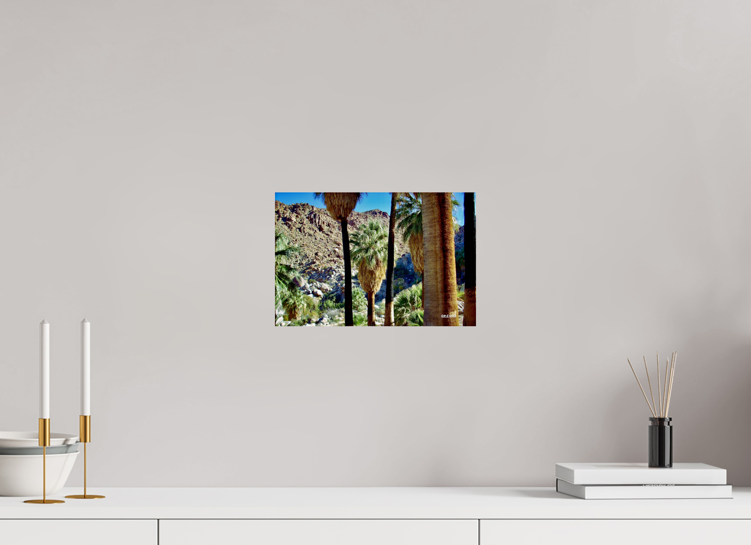 12 x 8″, Glossy Print without border Oasis in Joshua Tree National Park