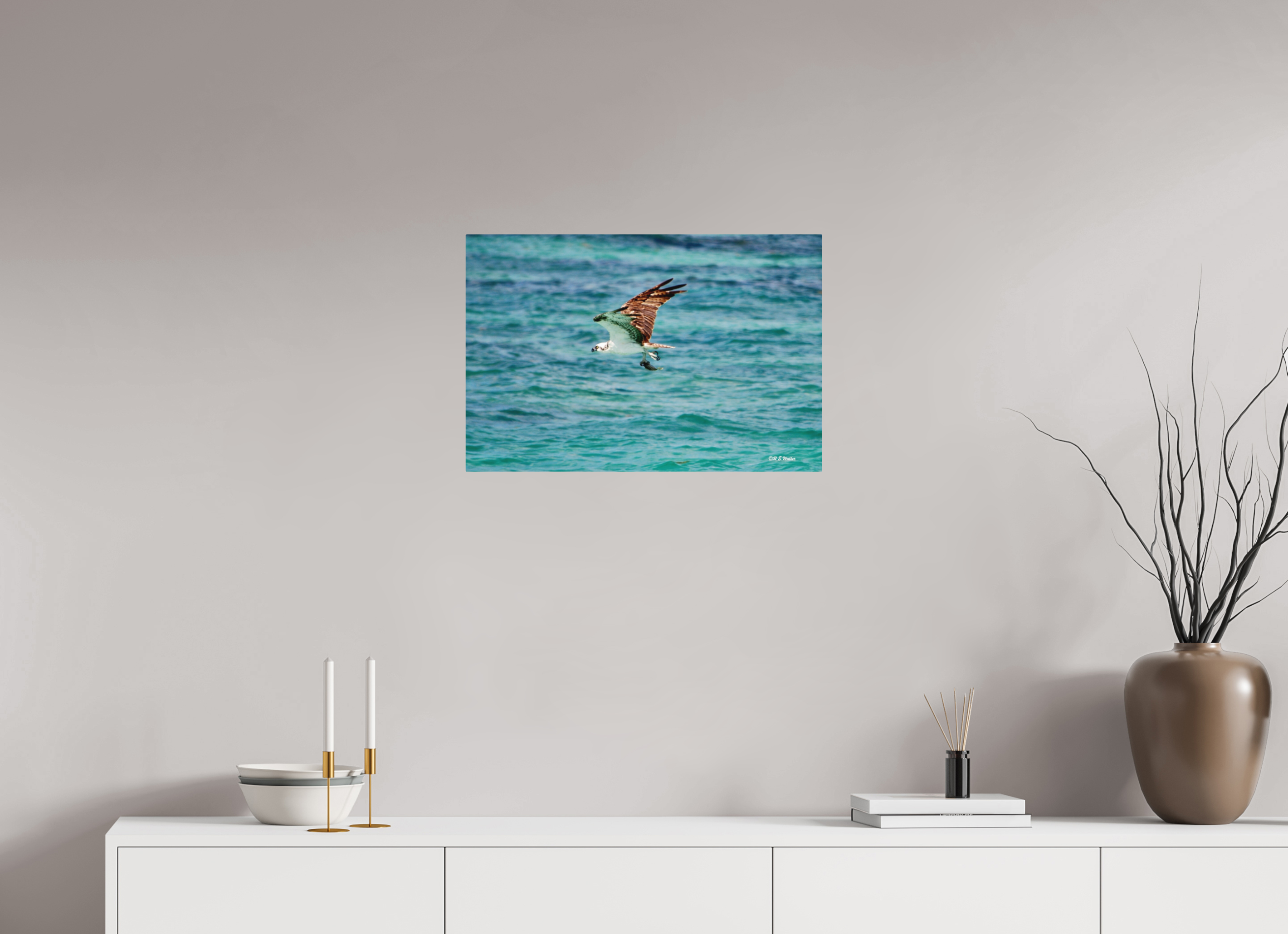 24 x 16″, Aluminum Seahawk in flight