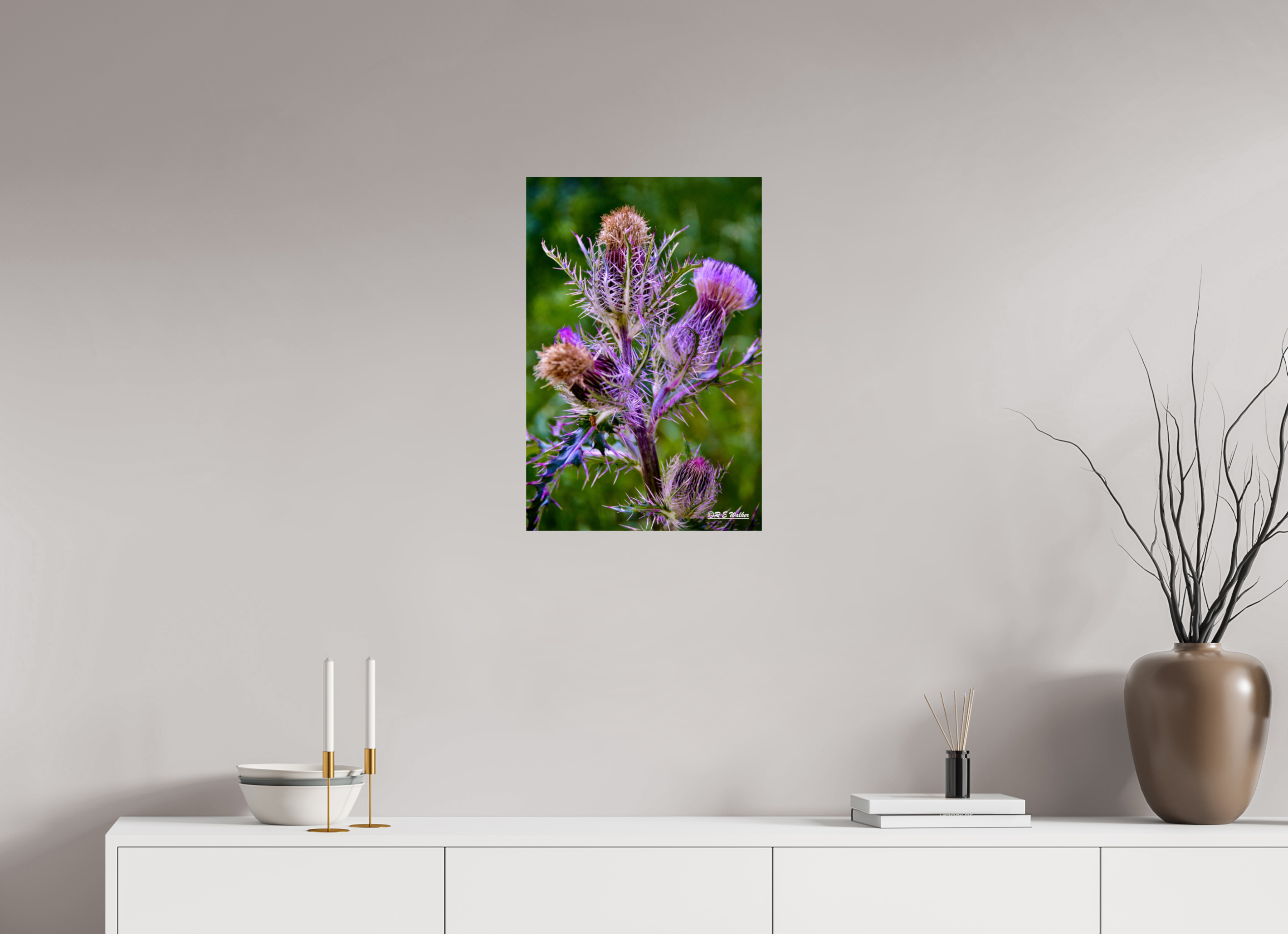 16 x 24″, Glossy Print without border Thistle