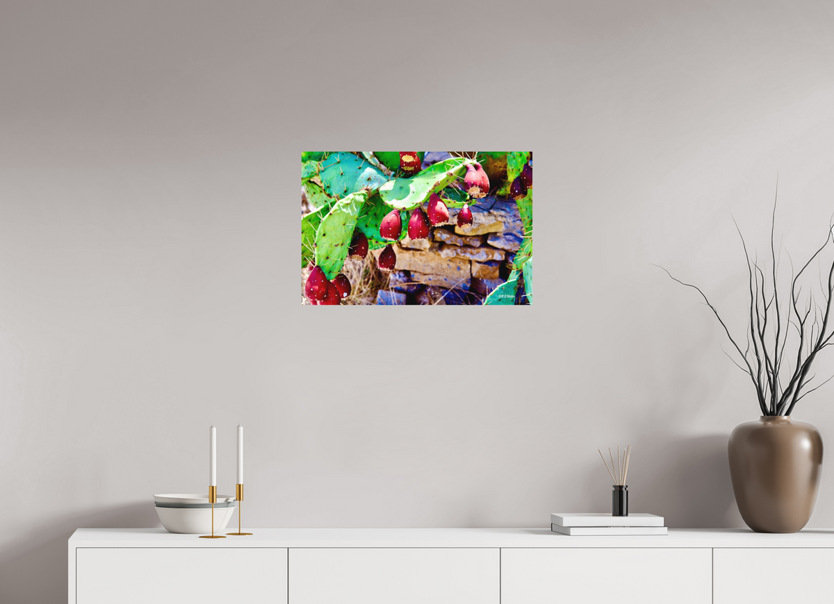 24 x 16″, Aluminum Prickly Pear Texas