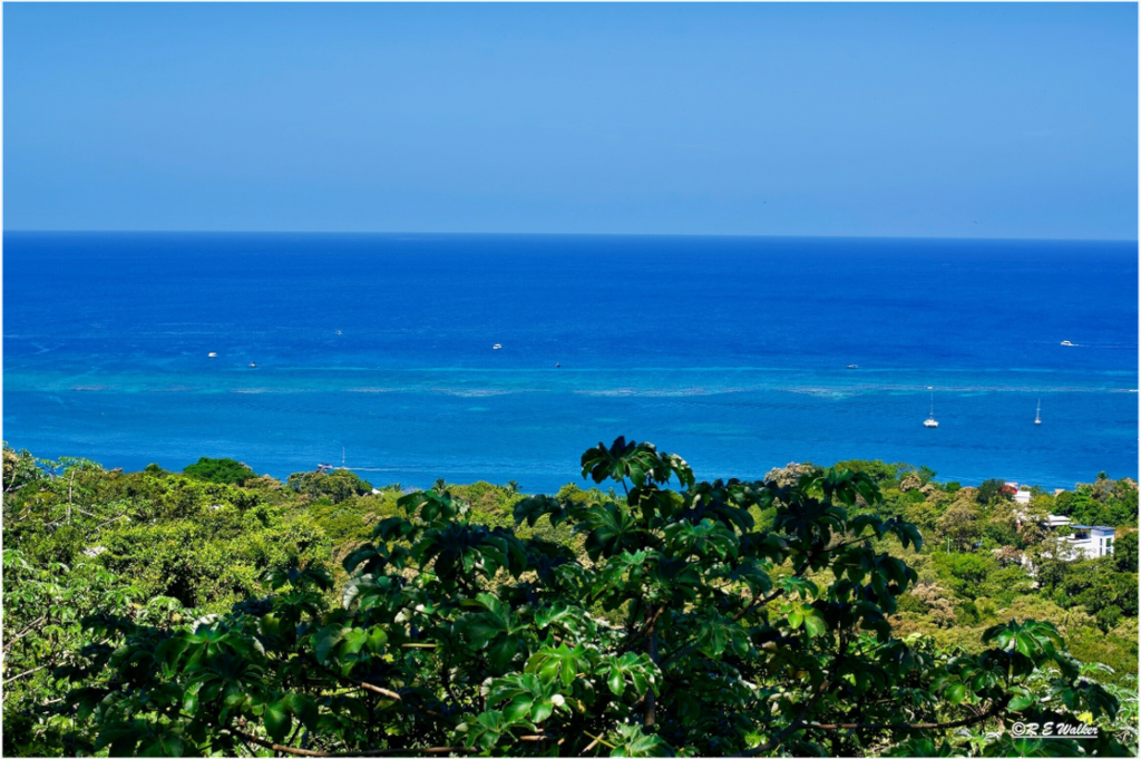 Main image Roatan Shore
