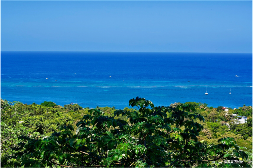 Main image Roatan Shore