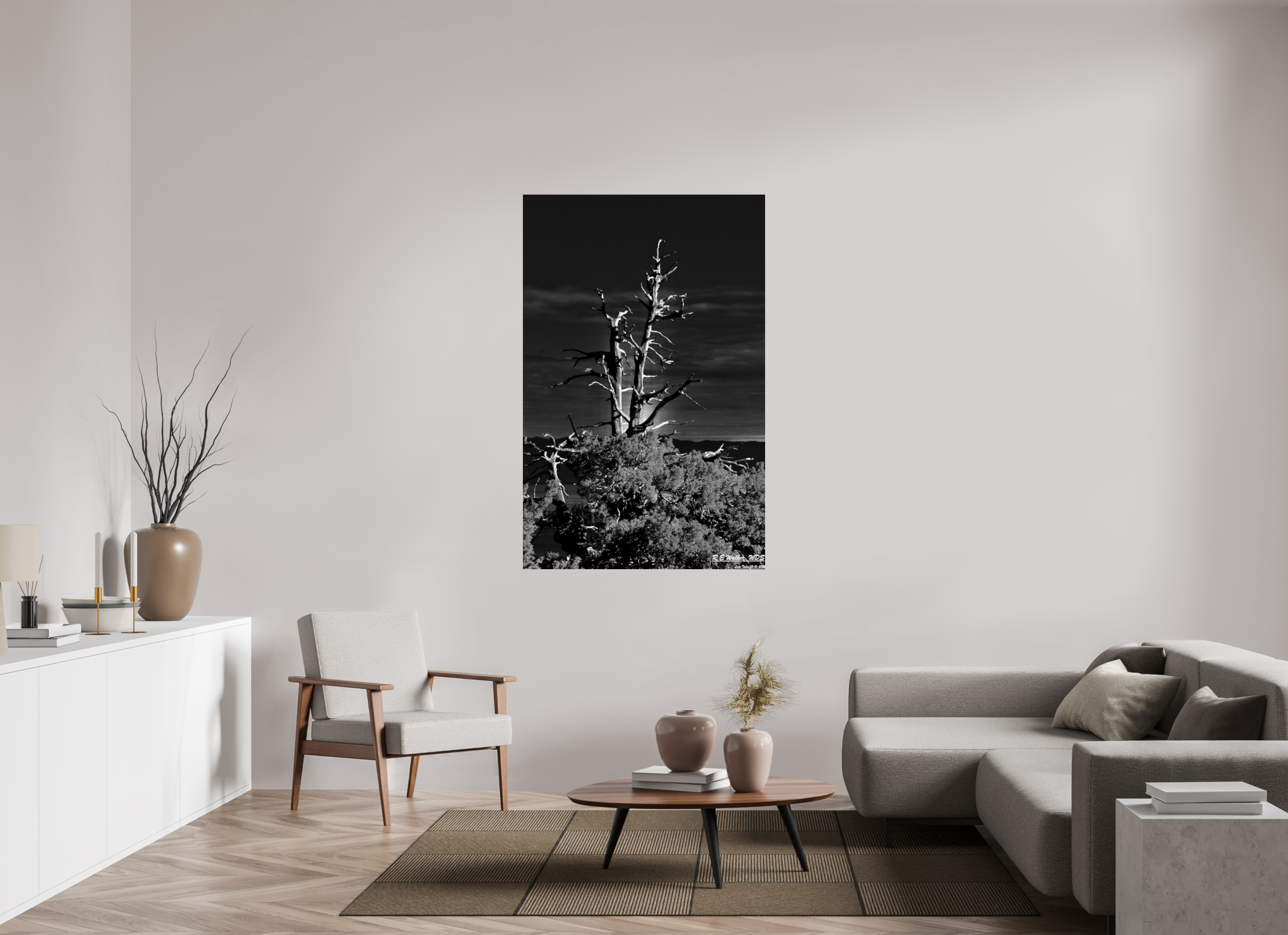 39 x 60.3″, Glossy Print without border Tahoe tree silhouette