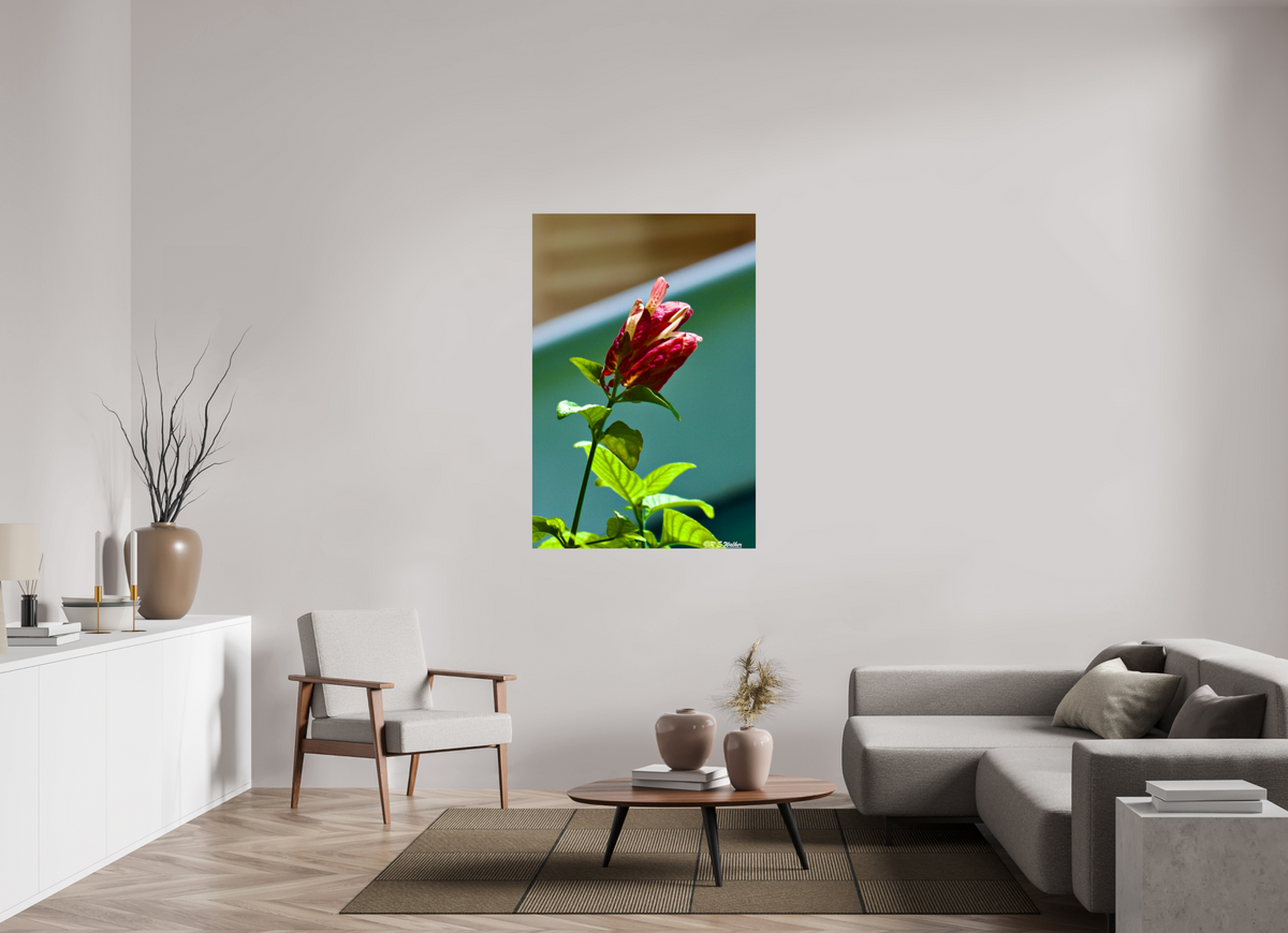 36 x 54″, Glossy Print without border Lilly of the Incas