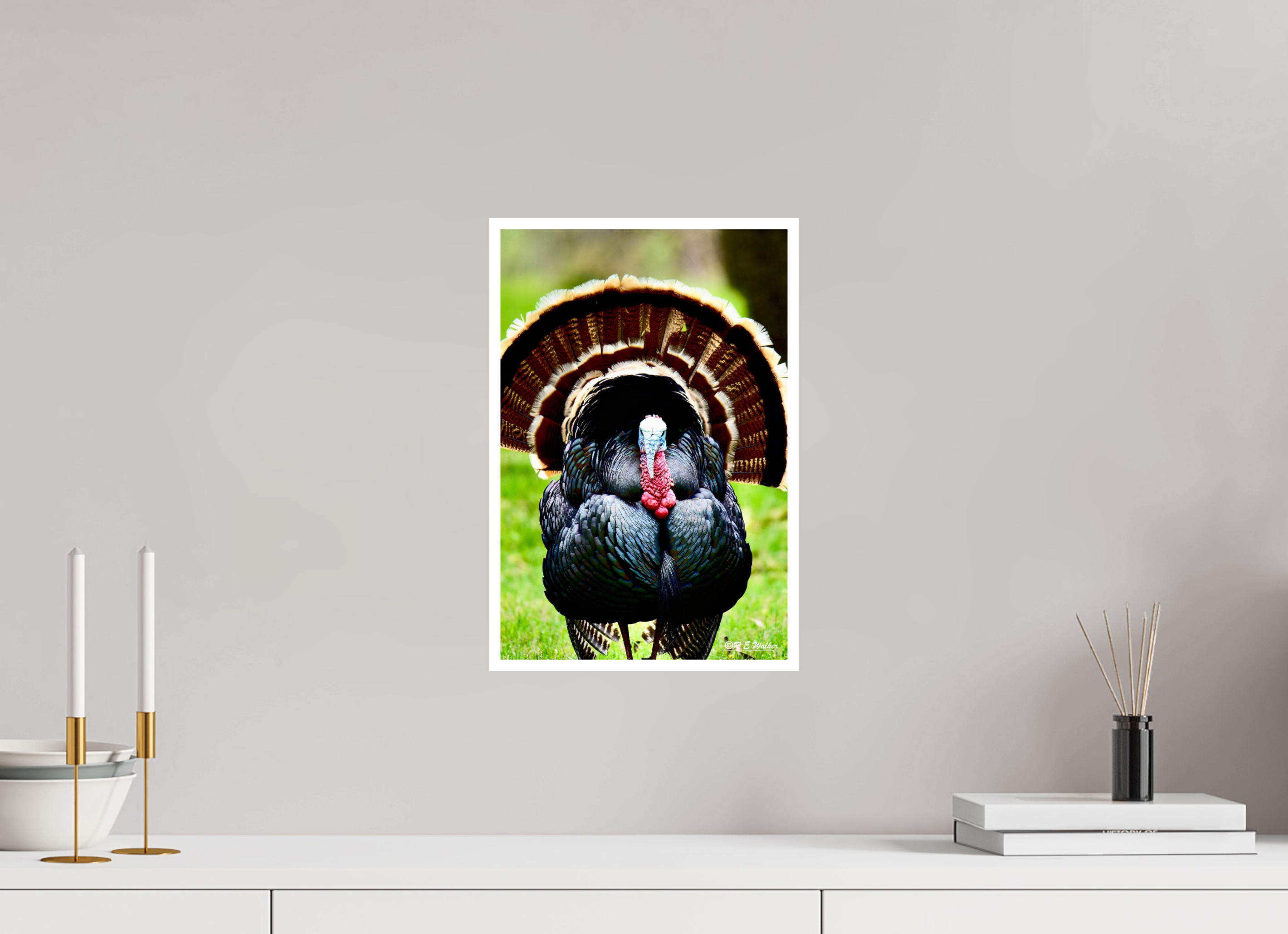 10 x 15″, Print with 0.4in white border Turkey Headon