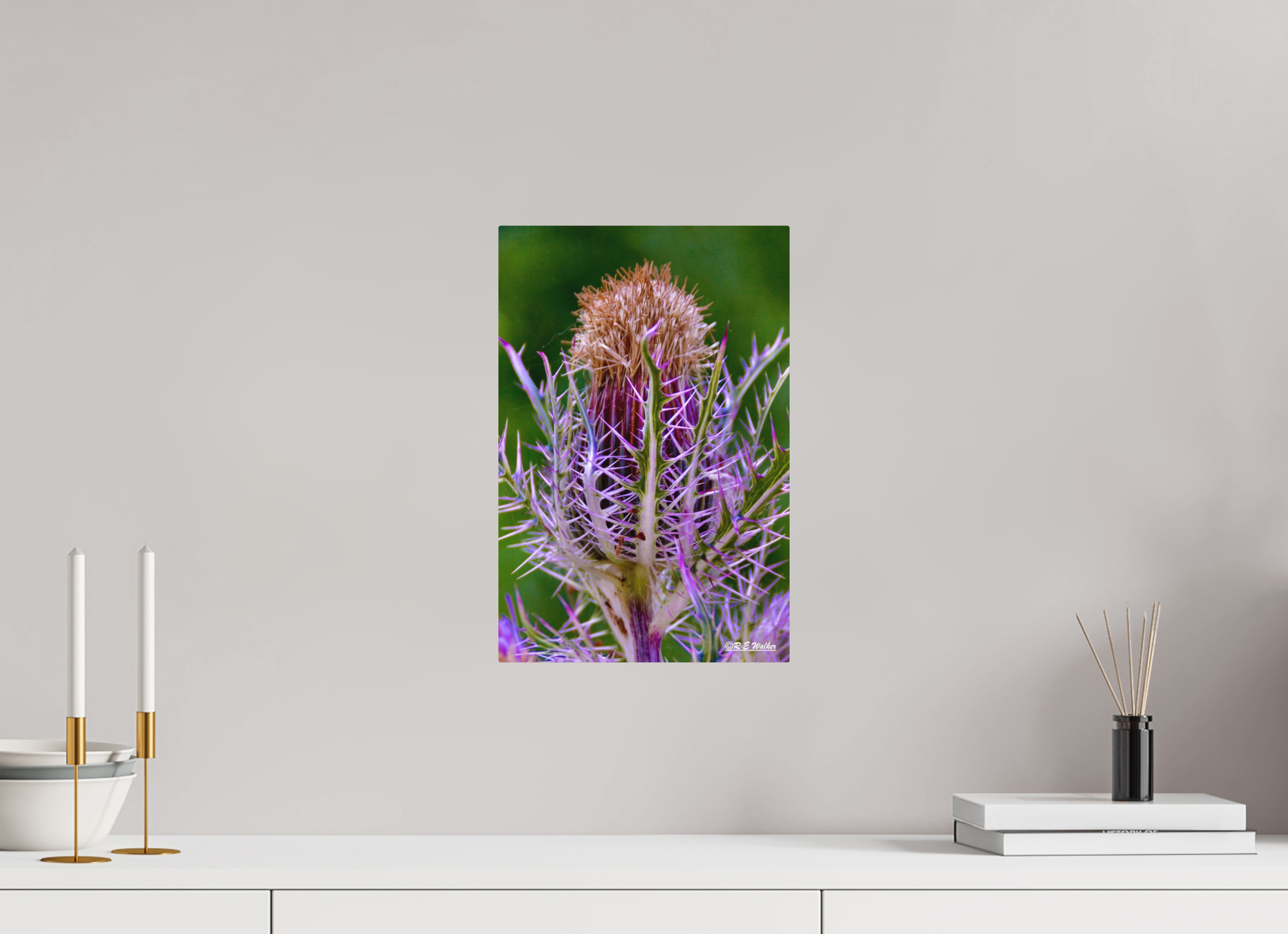 10 x 15″, Aluminum Close-up Thistle Flowerhead