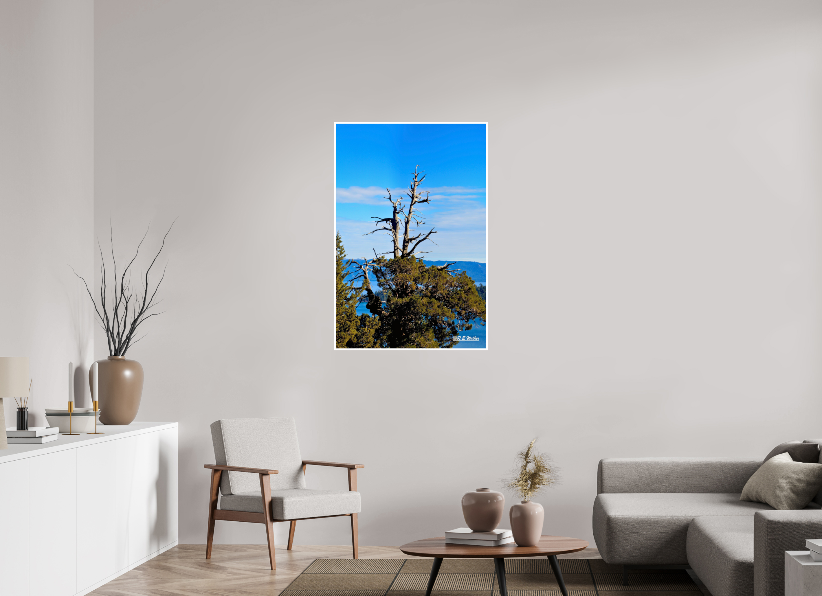 30 x 45″, Print with 0.4in white border Tree at Lake Tahoe