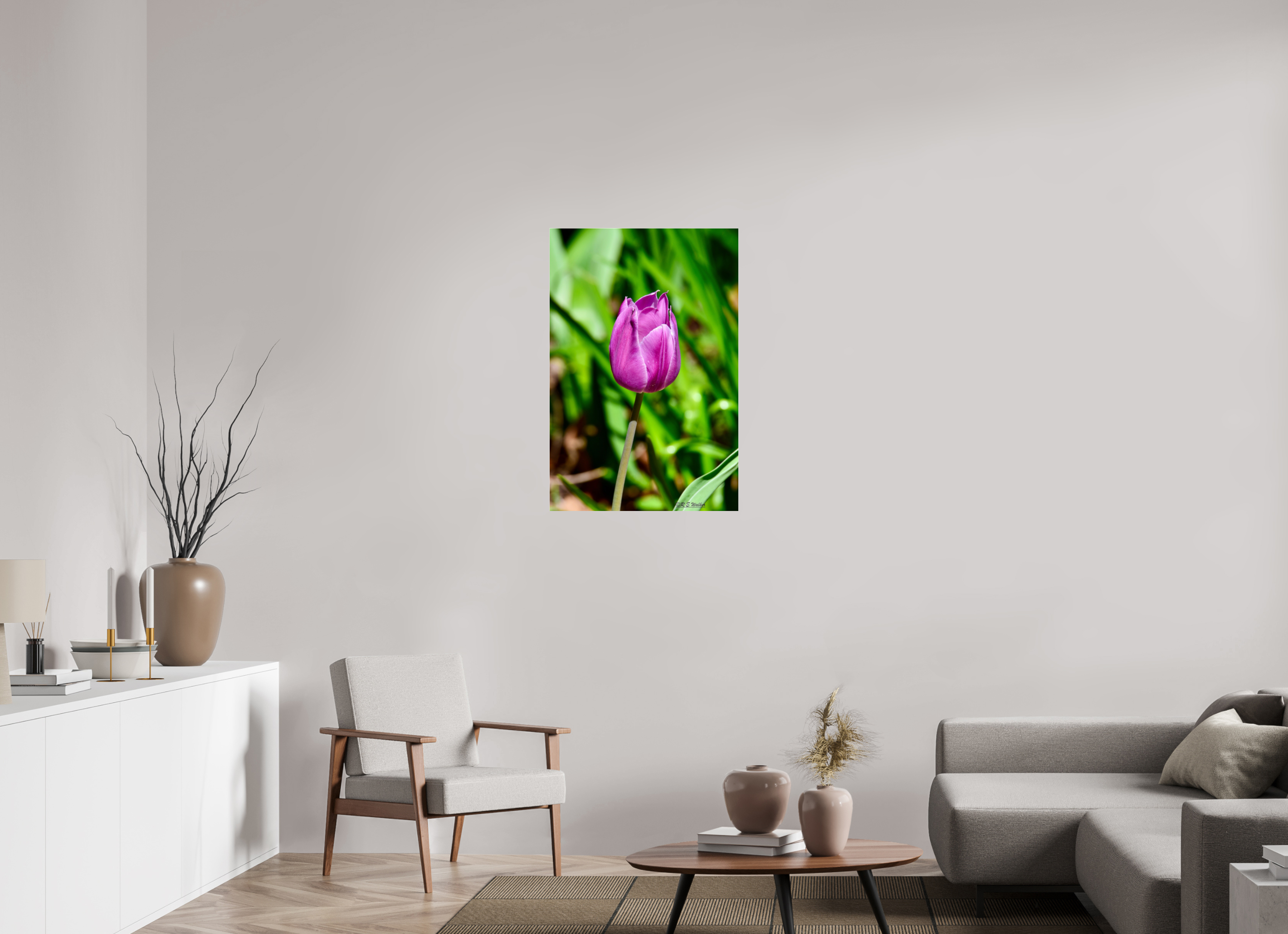24 x 36″, acrylic-noframe-glossy Tulip in Weatherford, Tx