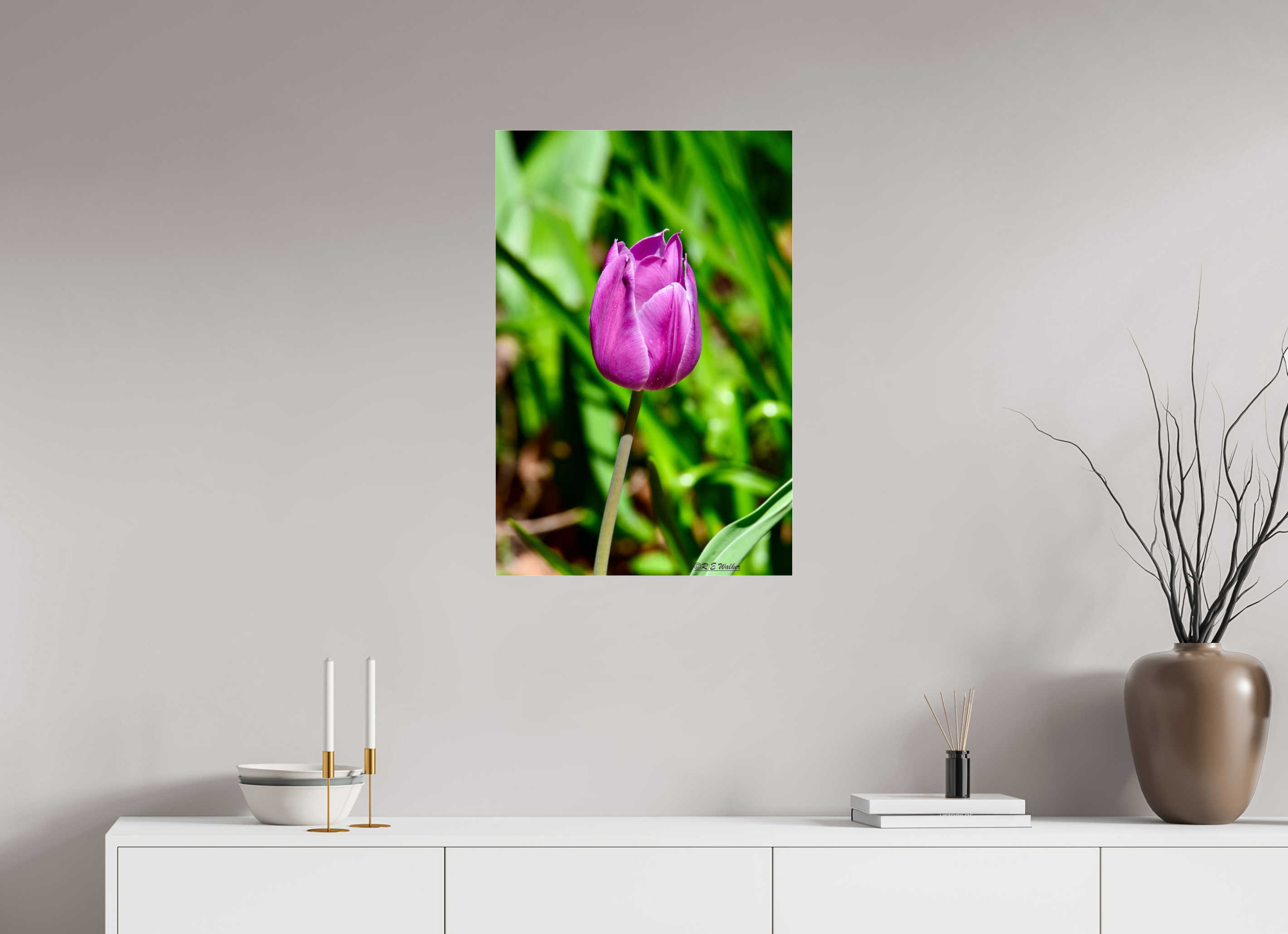 20 x 30″, acrylic-noframe-glossy Tulip in Weatherford, Tx
