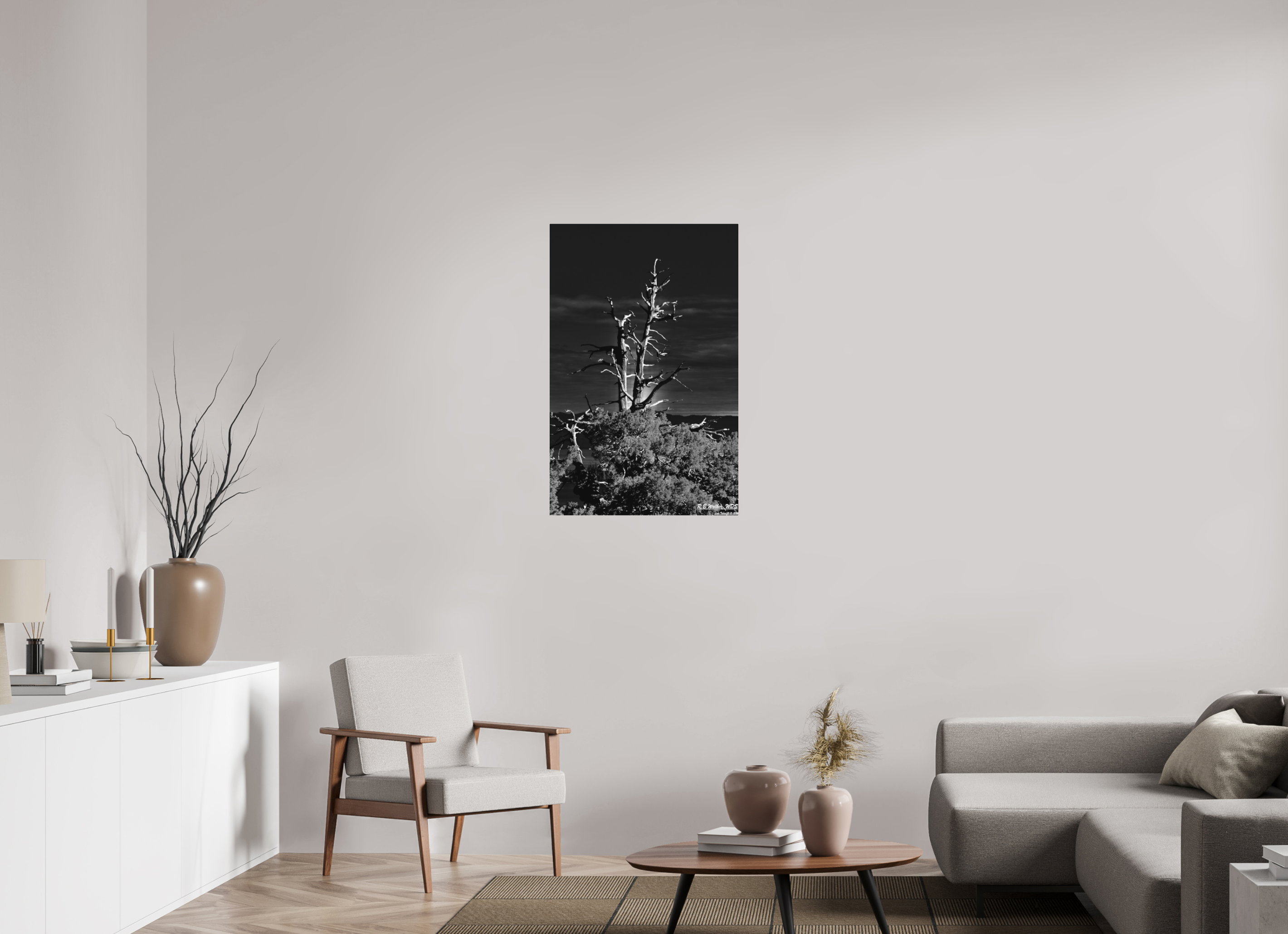 24 x 37.1″, Aluminum Tahoe tree silhouette