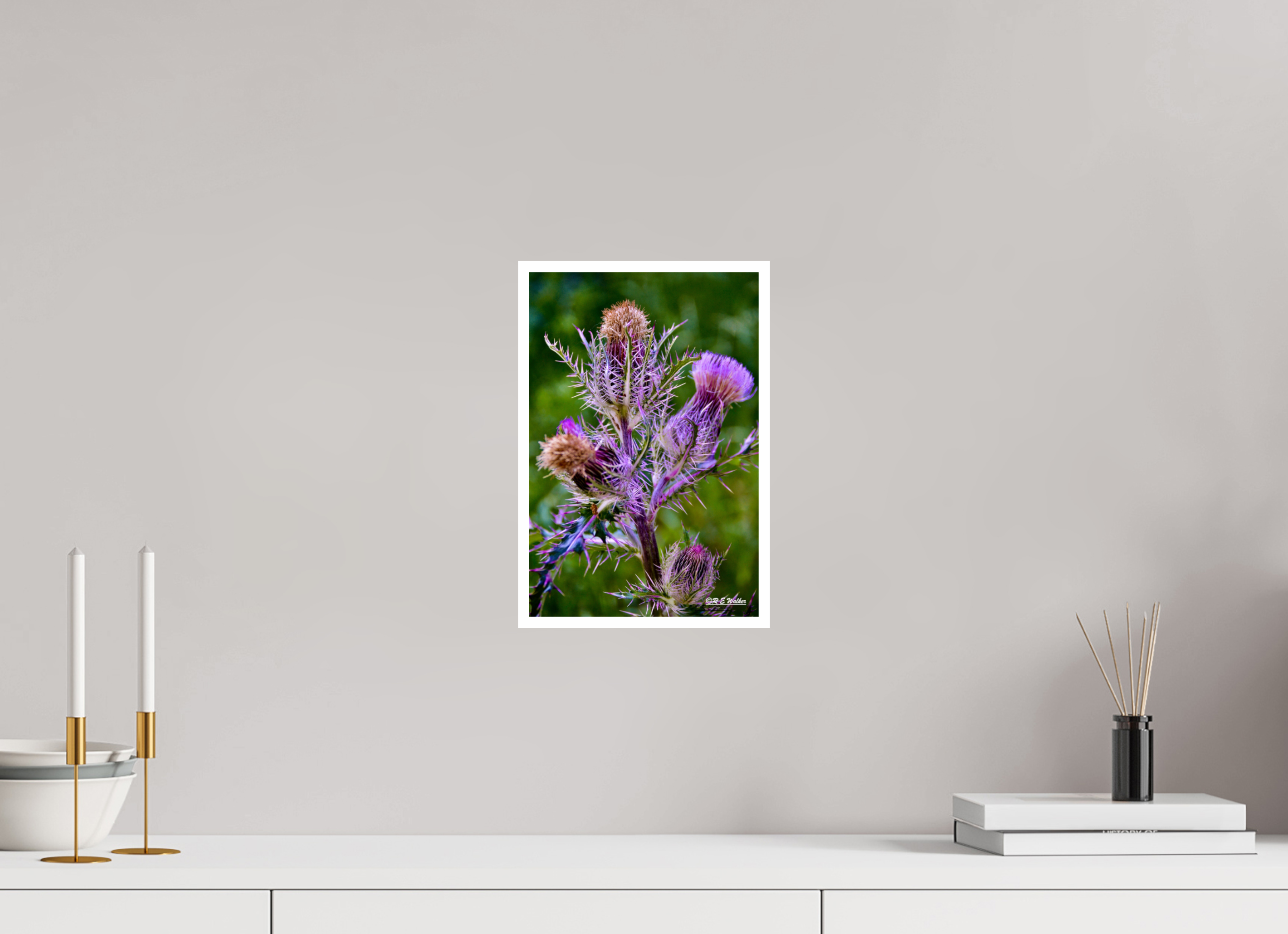 8 x 12″, Print with 0.4in white border Thistle