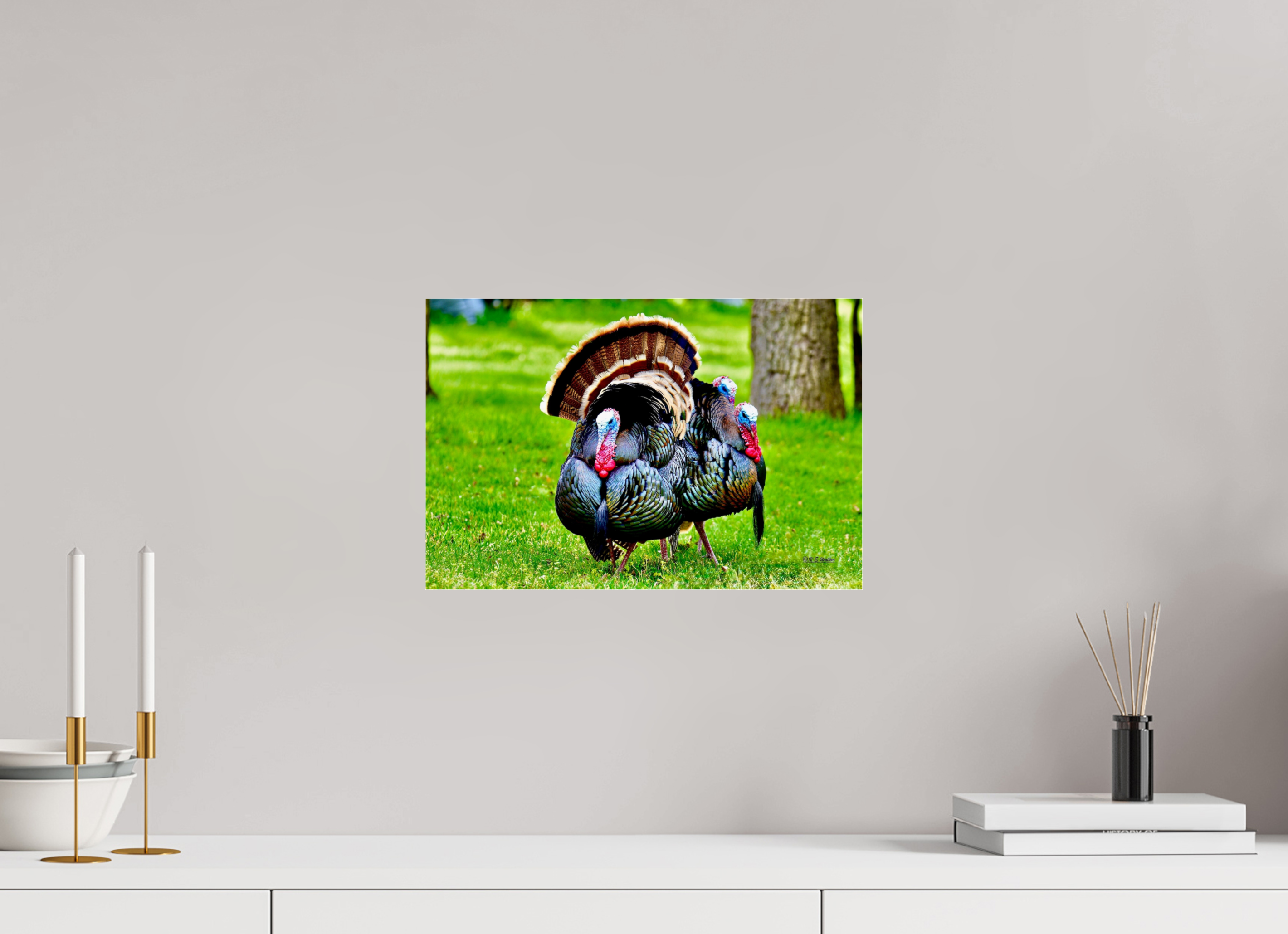 15 x 10″, acrylic-noframe-glossy 3 gang of Turkeys