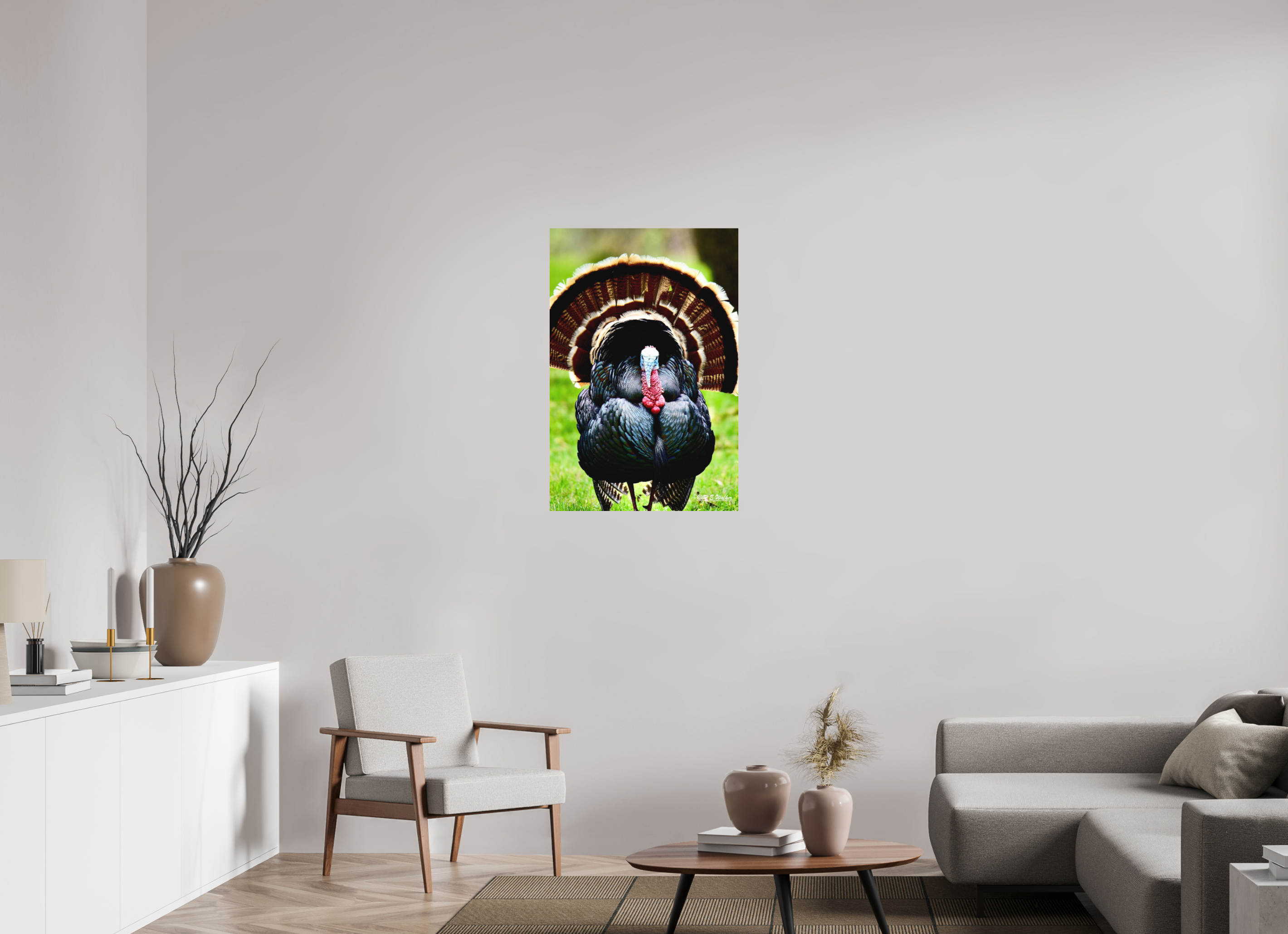 24 x 36″, Aluminum Turkey Headon
