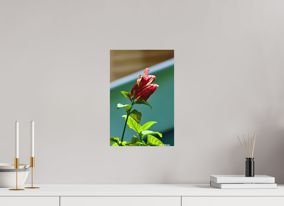 10 x 15″, Aluminum Lilly of the Incas