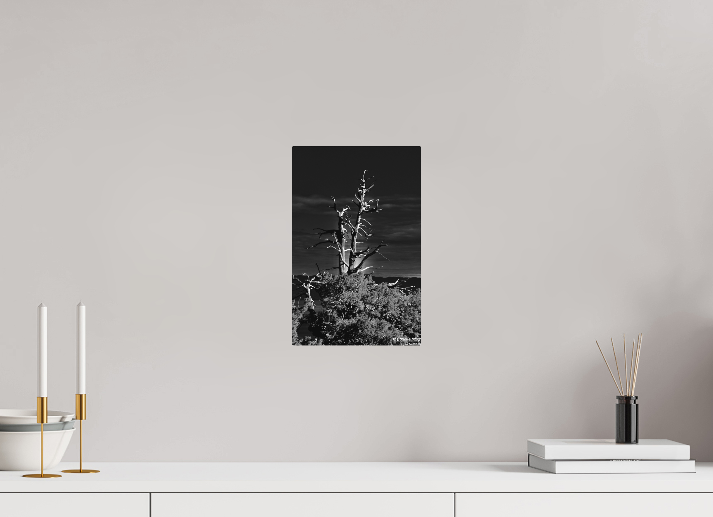 8 x 12.4″, Aluminum Tahoe tree silhouette