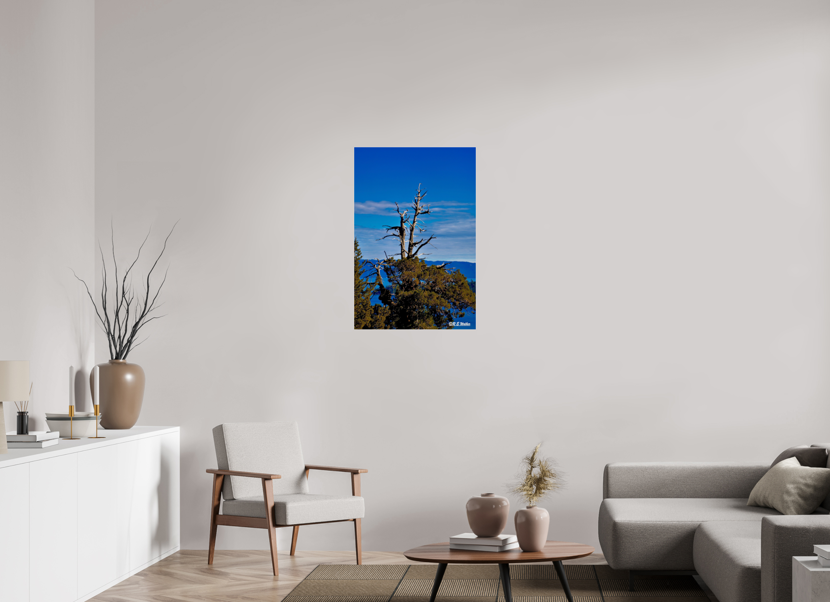 24 x 36″, acrylic-noframe-glossy Tree at Lake Tahoe