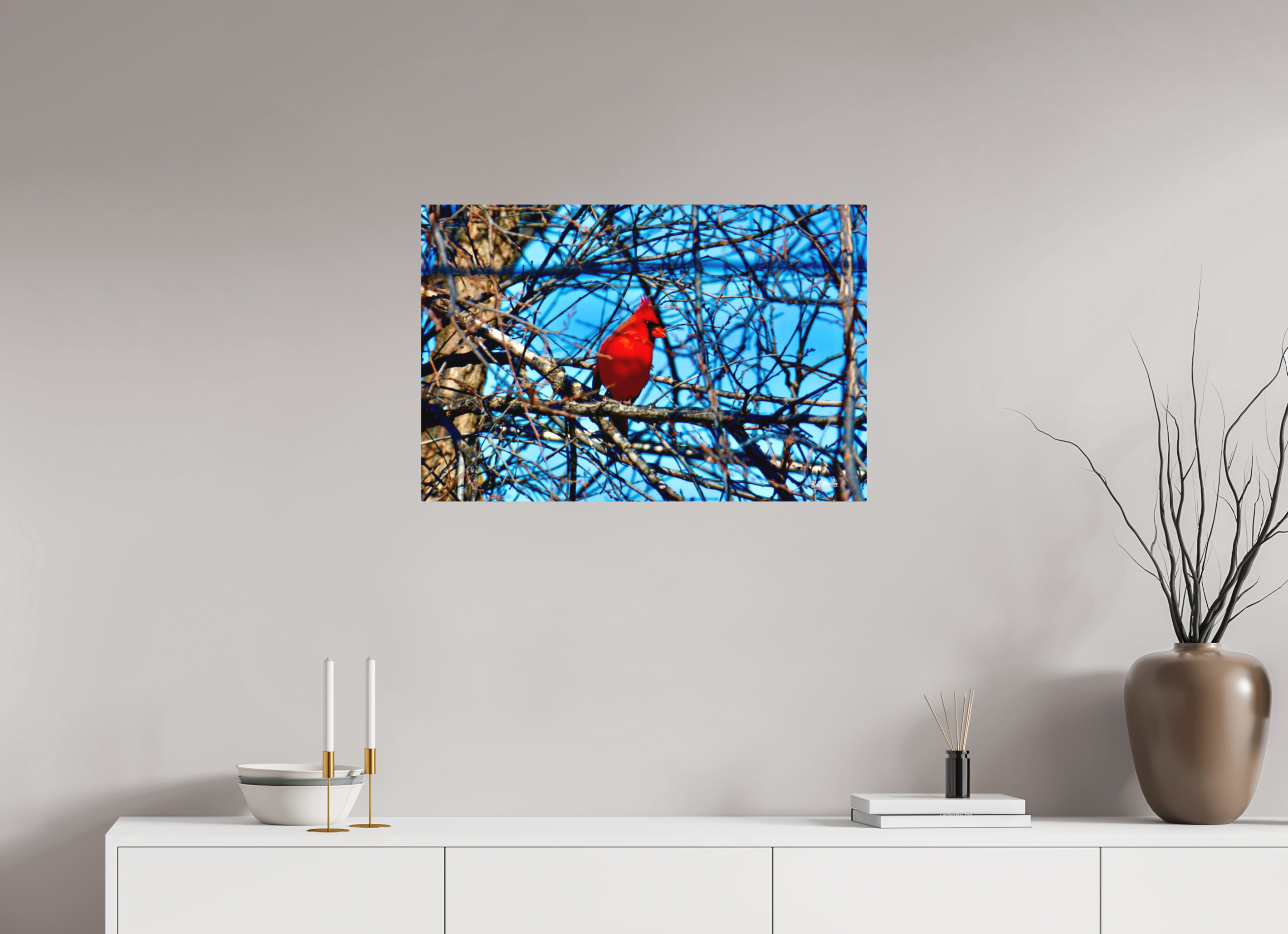 30 x 20″, Aluminum Red Cardinal