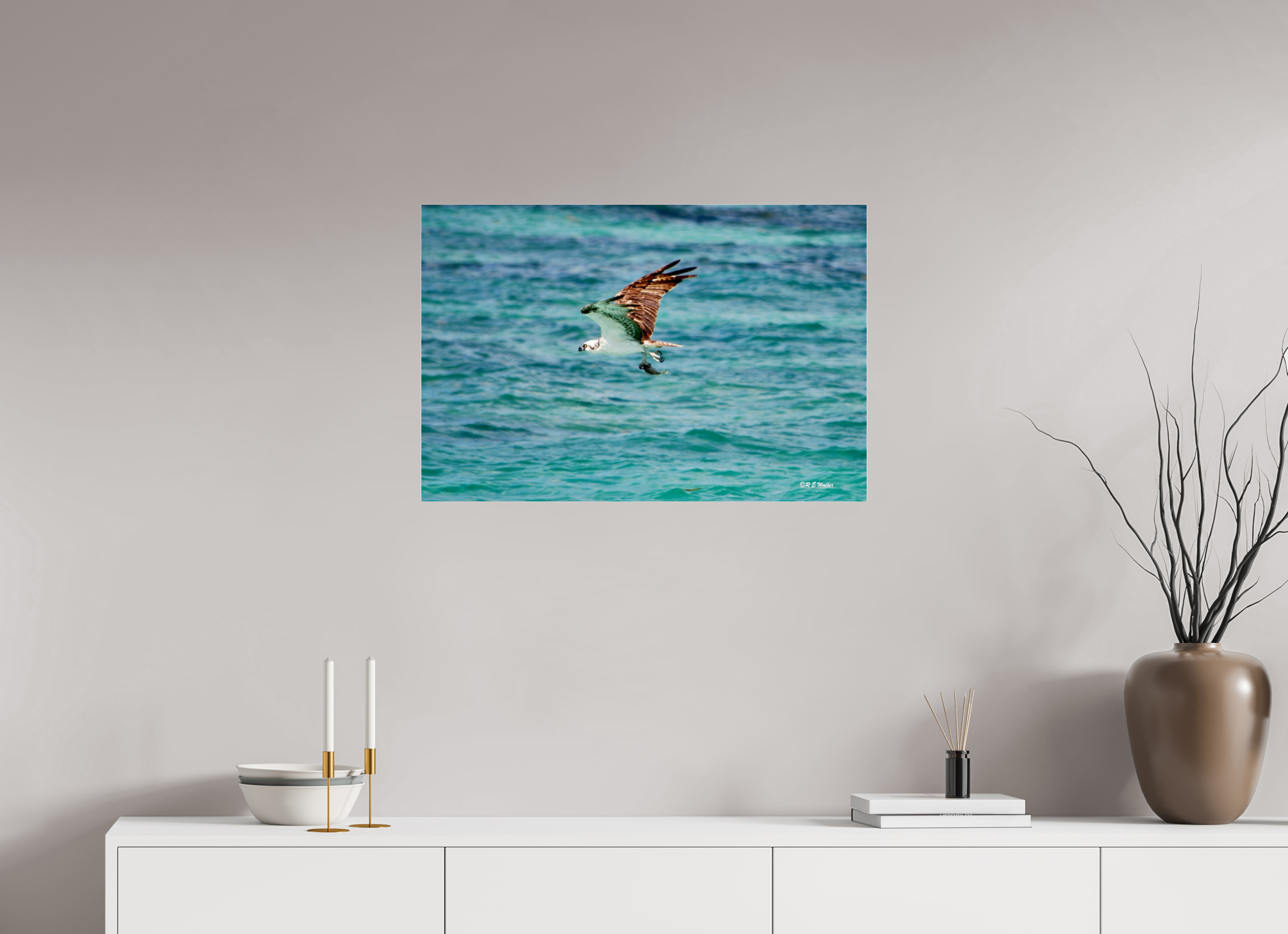 30 x 20″, acrylic-noframe-glossy Seahawk in flight