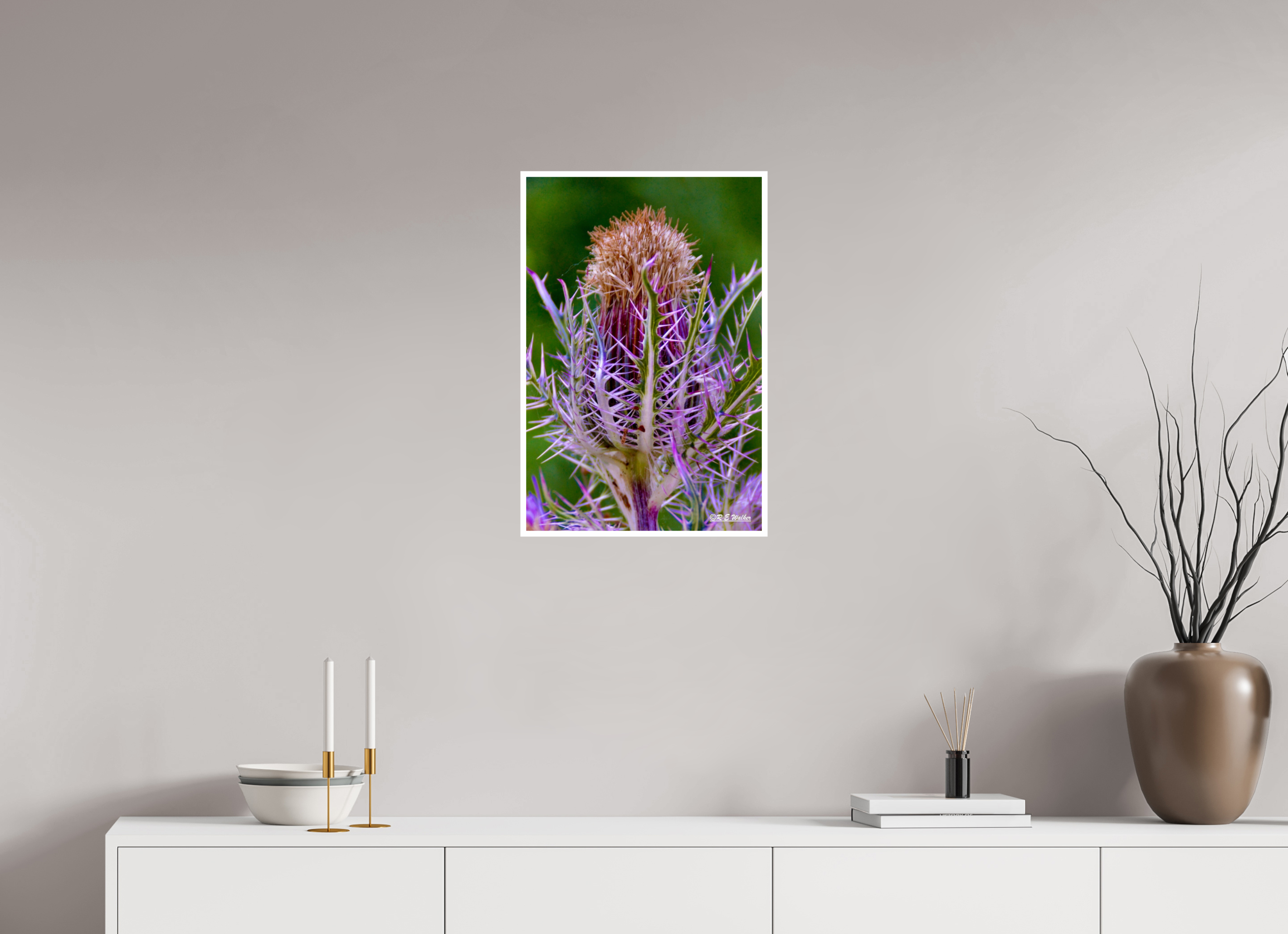 16 x 24″, Print with 0.4in white border Close-up Thistle Flowerhead