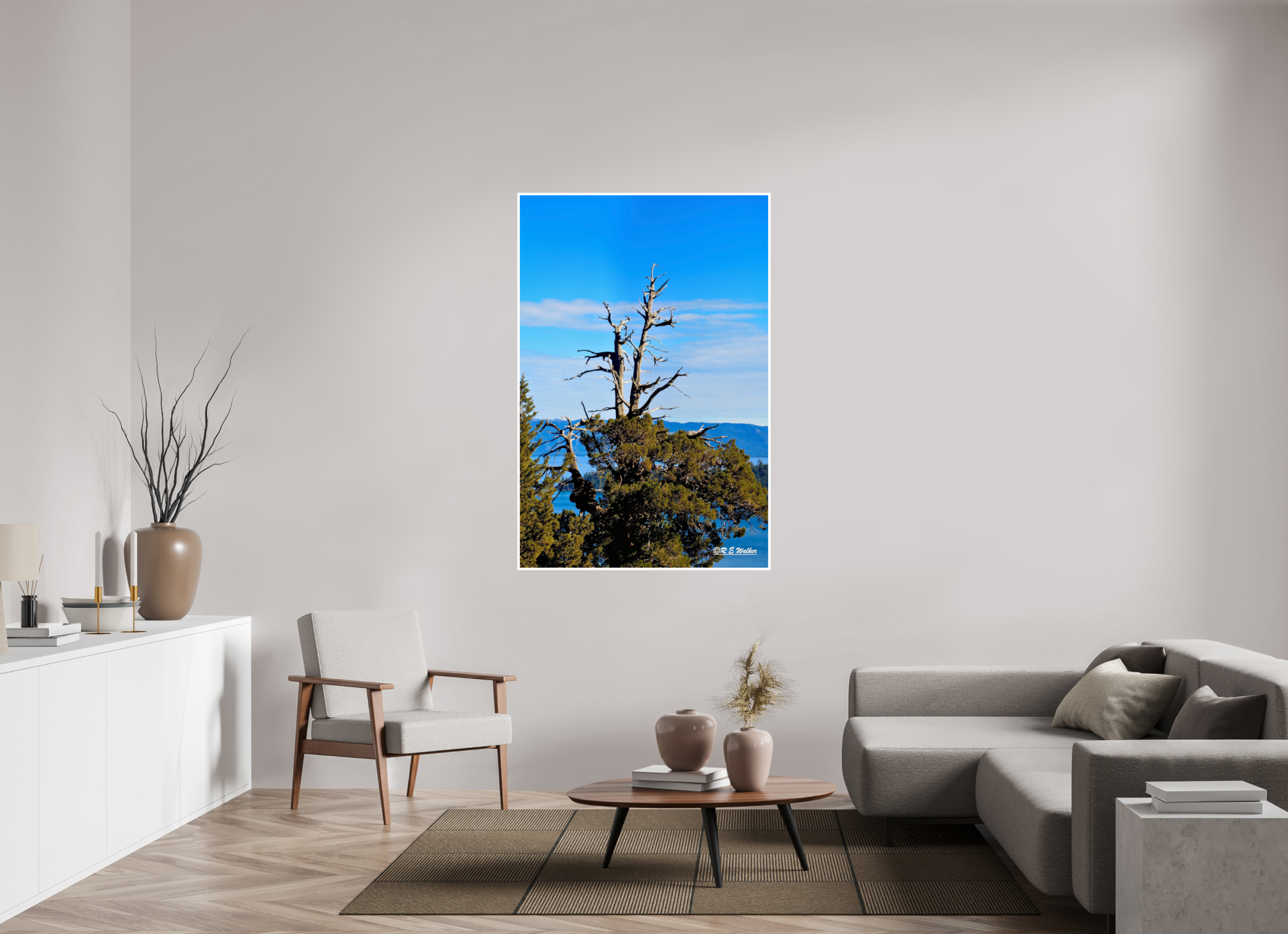 40 x 60″, Print with 0.4in white border Tree at Lake Tahoe