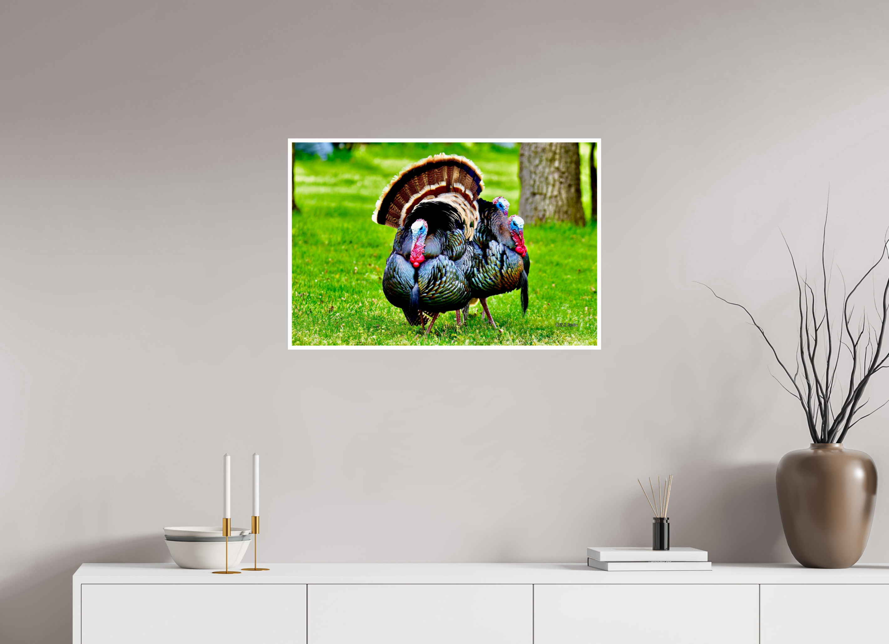 30 x 20″, Print with 0.4in white border 3 gang of Turkeys