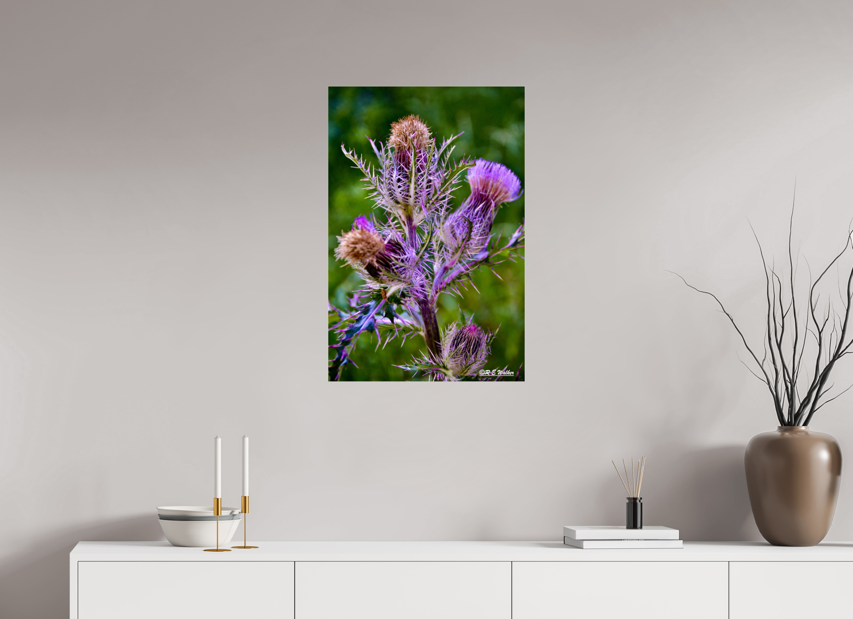 20 x 30″, acrylic-noframe-glossy Thistle