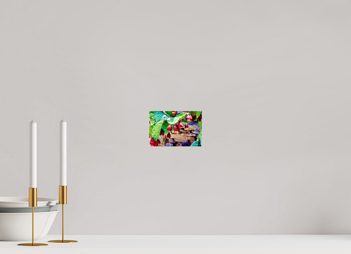 6 x 4″, Photo Print Under Acrylic Glass Prickly Pear Texas