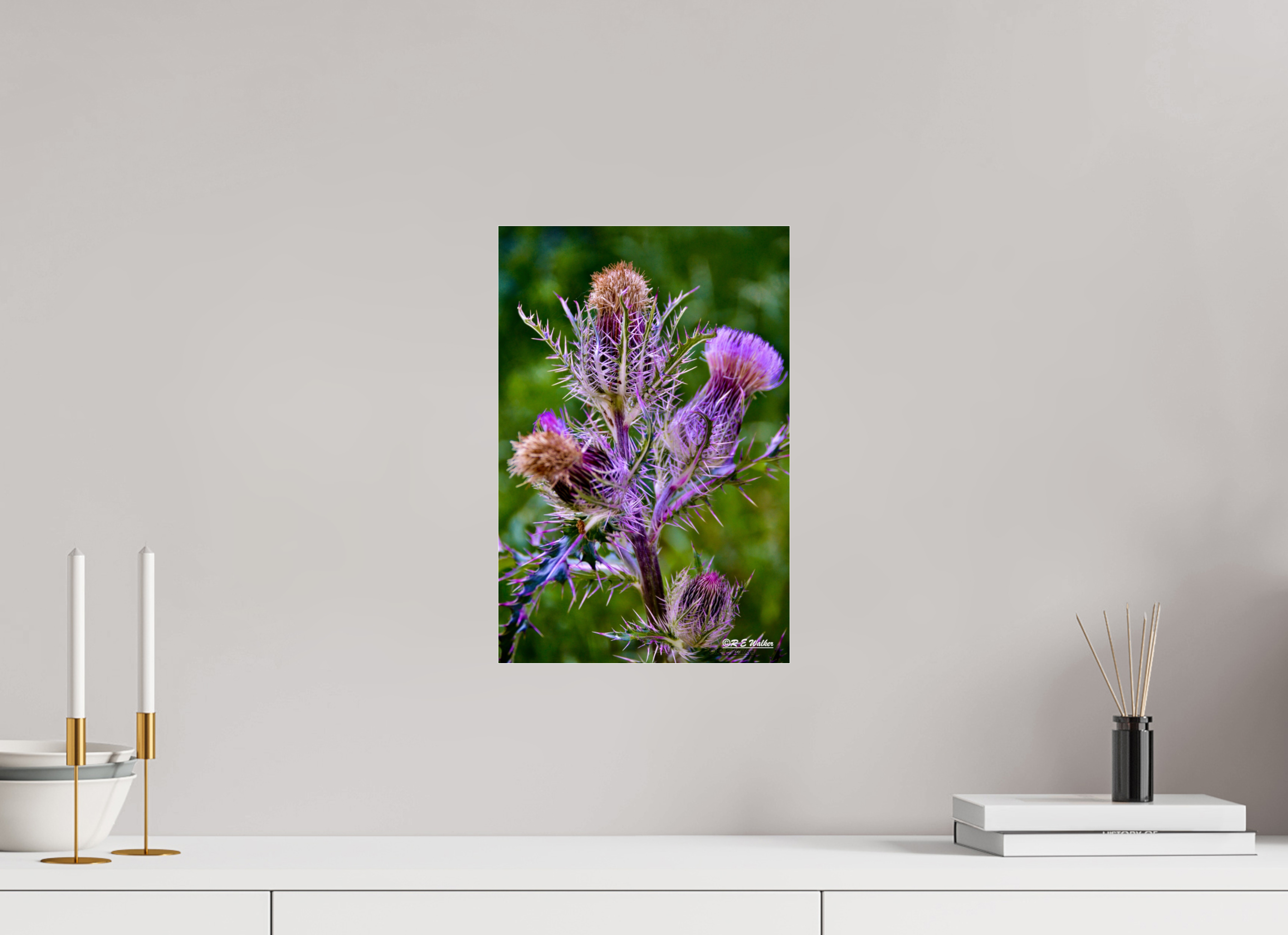 10 x 15″, acrylic-noframe-glossy Thistle